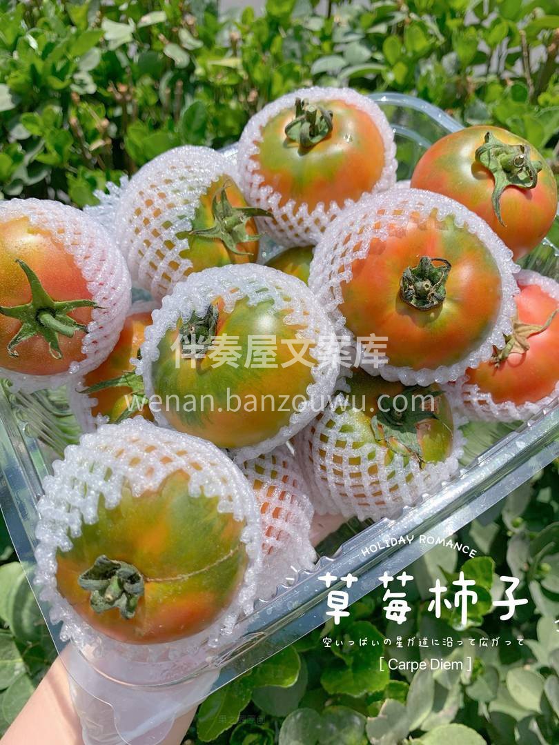 🍅草莓柿子🍅中的胡萝卜素含量很高👍👍 是 配图2