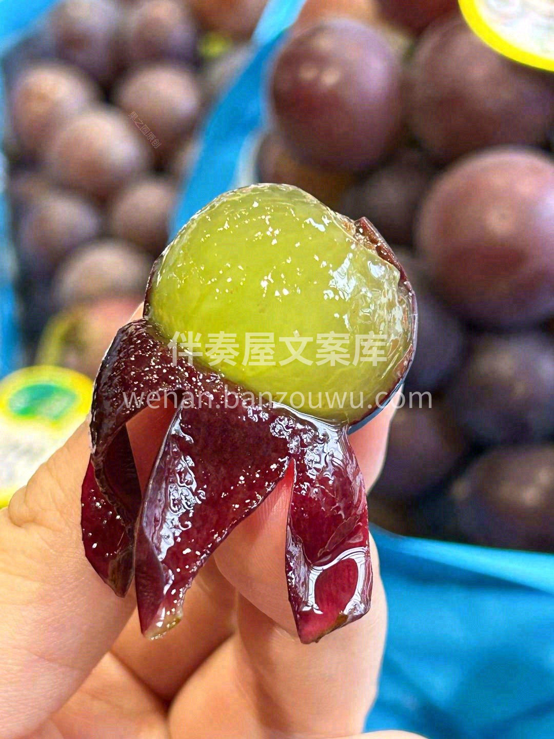 🍇这个夏天你躲不掉的一串葡萄~~ 大如乒 配图1