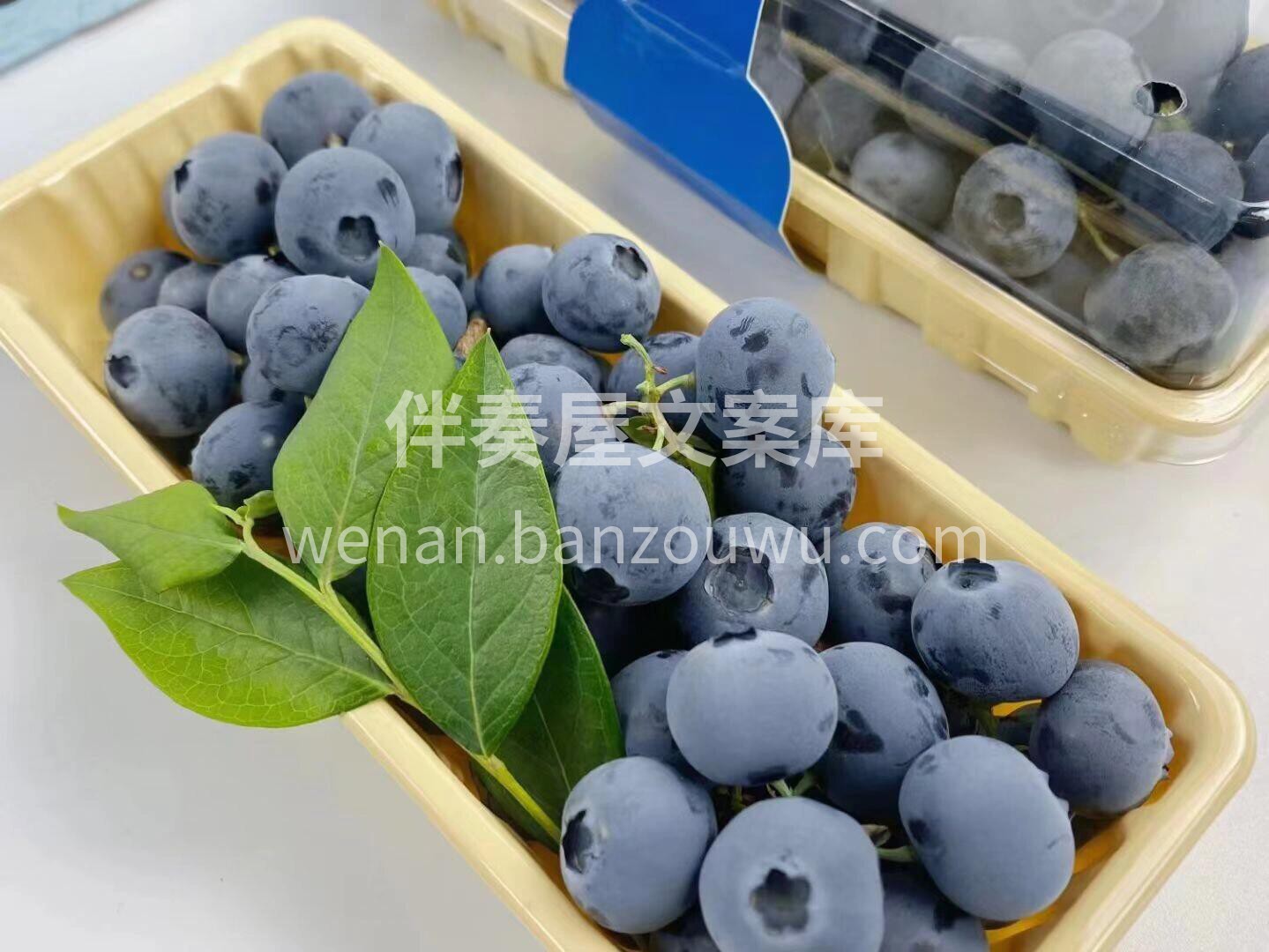 枝冠串蓝莓🫐很惊艳✌️ 纯甜哒，无敌新鲜 配图1