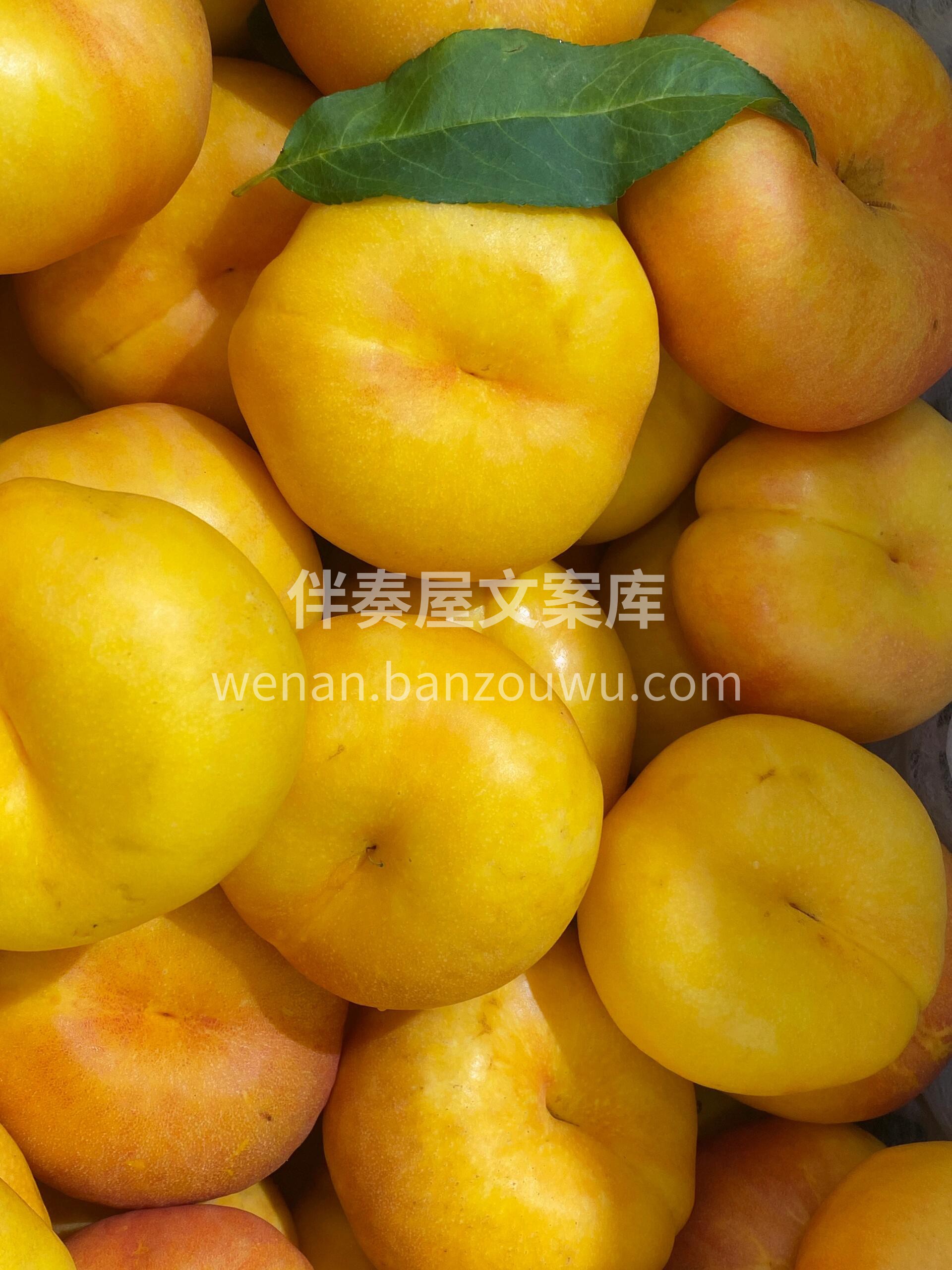 😍吃桃的季节怎么能少得了这金灿灿的黄金蟠 配图2