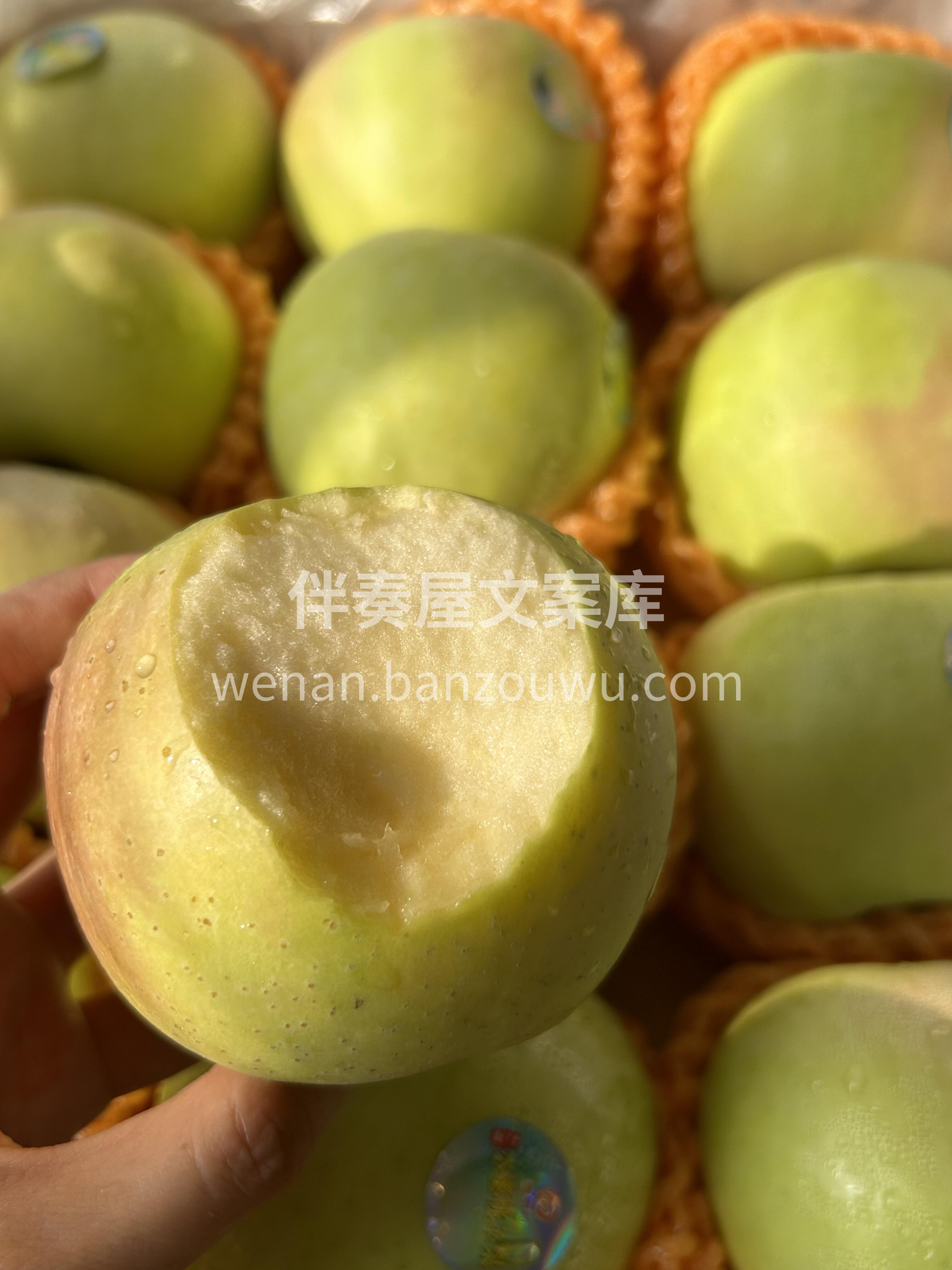 你吃了么？🙋秋天的第一个青苹果🍏 自带雀 配图2