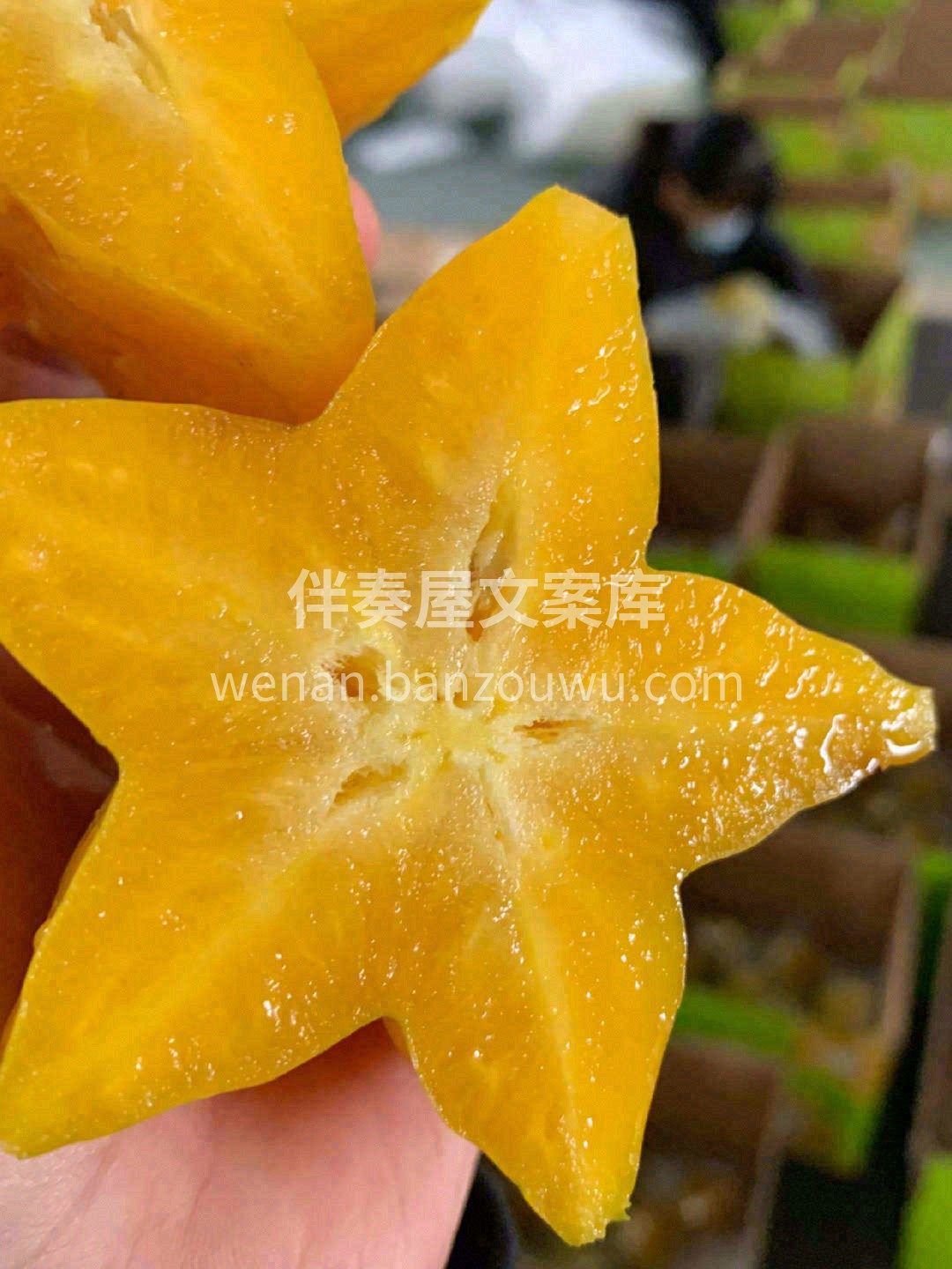 😴没精打采时来一块，清甜丰润的汁水瞬间冲 配图2