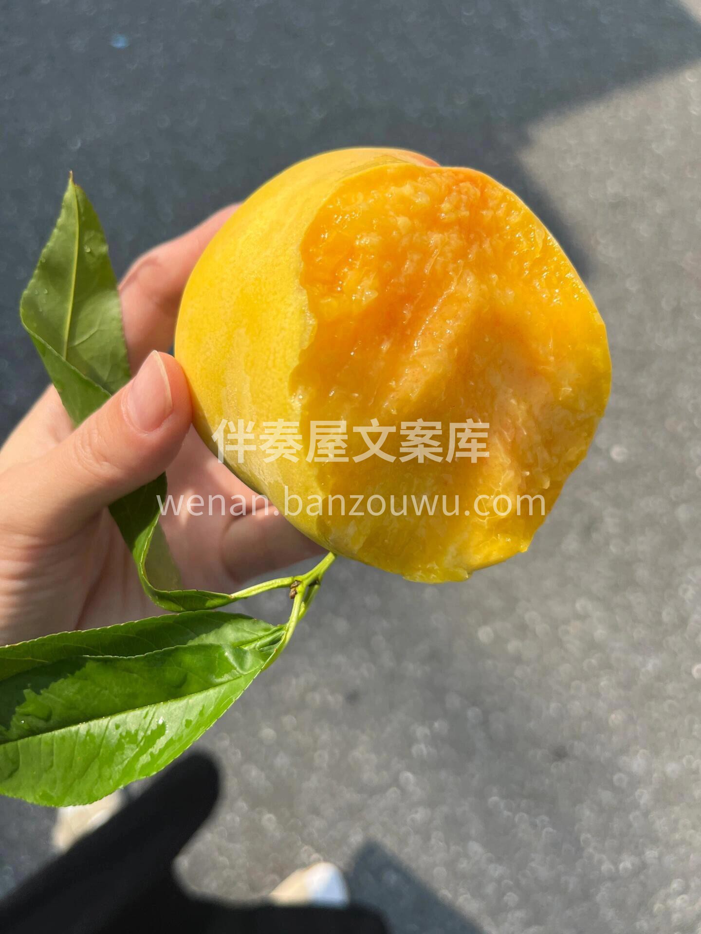 这黄桃甜的上头了🥰 🍭一口爆汁的“甜蜜炸 配图1