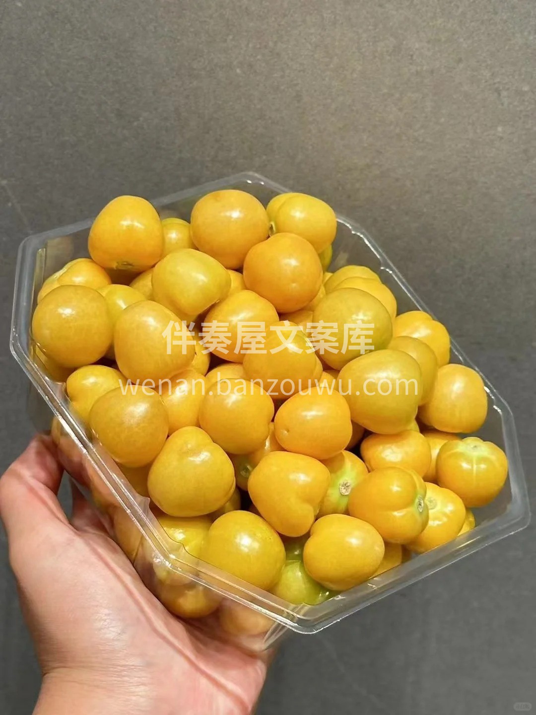 在美丽的秋天🍂 姑娘果像一个个披着淡金色 配图2