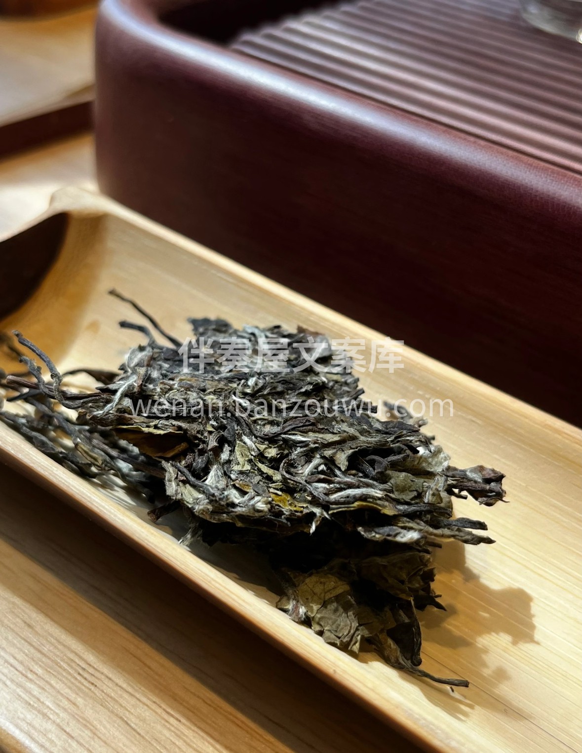 🌿 白牡丹 芽叶抱香如凝脂，白毫满披缀春 配图1