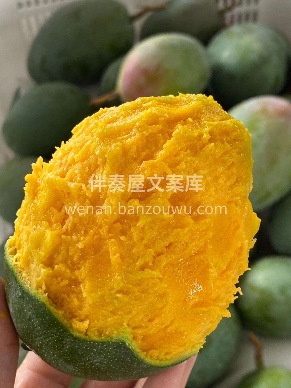 🥭凯特芒来咯👏 TA果肉饱满且实在😍，可 配图3