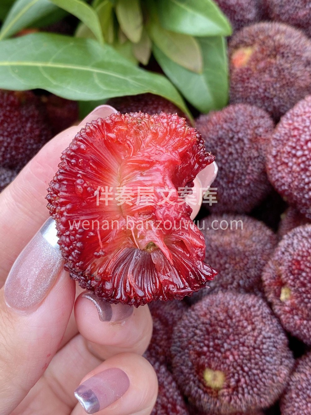 🌸初夏的季节🔆 ，来一颗酸甜爽口的“果汁 配图2