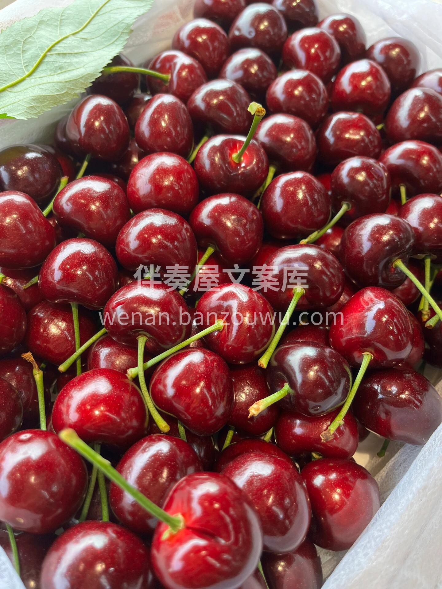 大樱桃🍒🍒 但凡好吃的东西 都是有季节滴 配图1