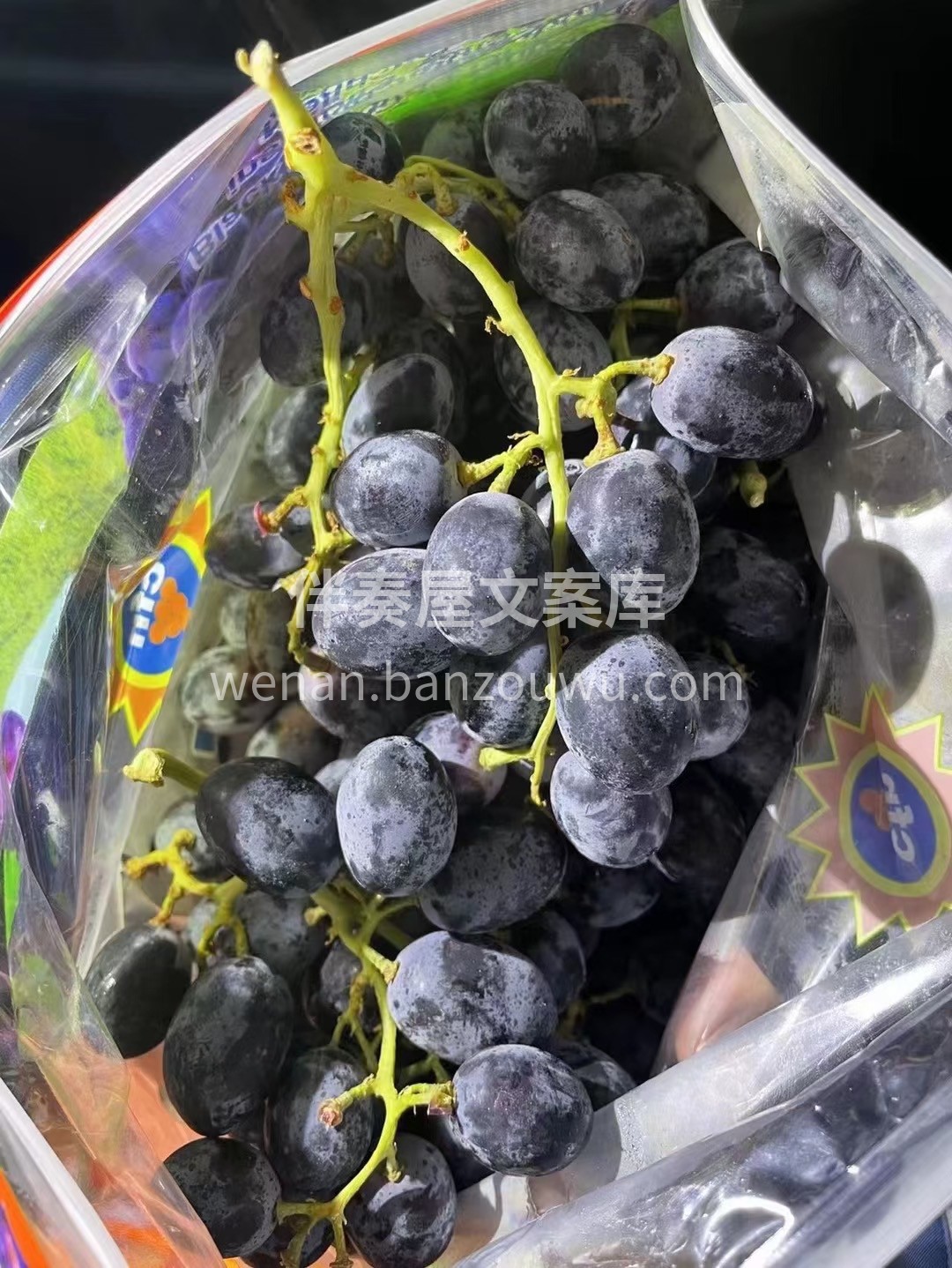 啊啊啊绝不绝 自己看！ 进口💥黑加仑🍇试 配图1