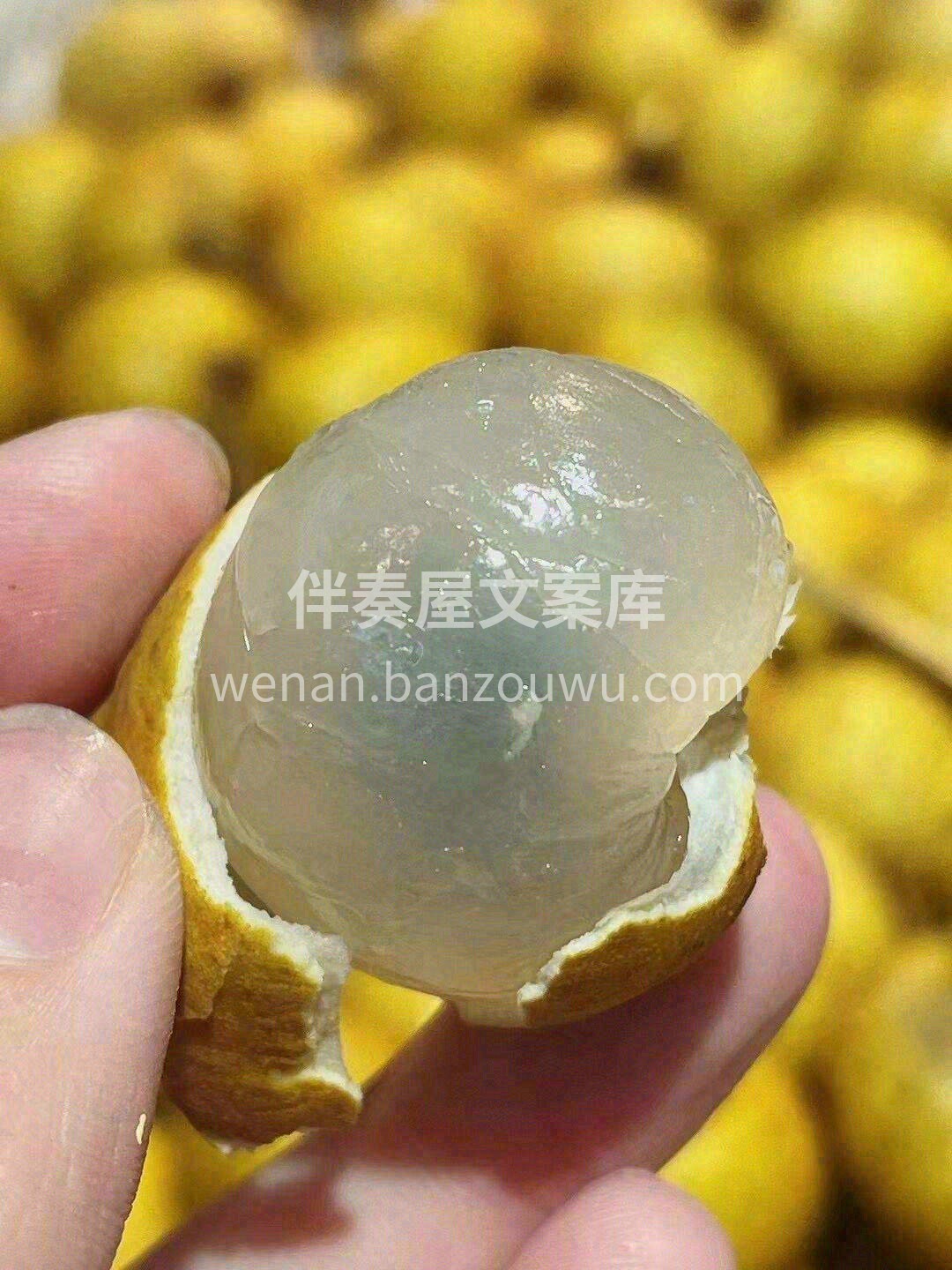 🎉朴实的金黄“外衣”下，藏着晶莹剔透的果 配图2