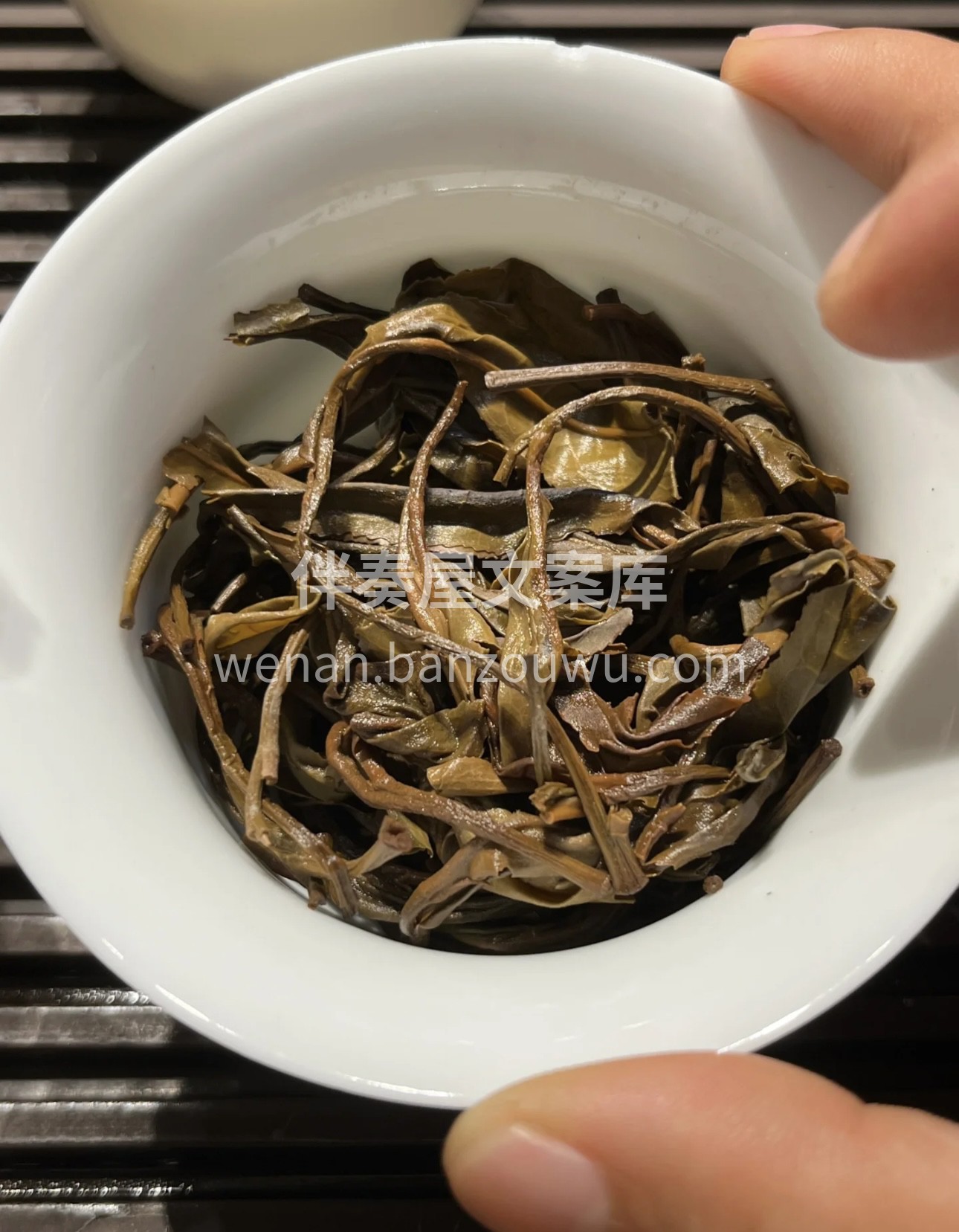 🍵普洱生茶，独特的陈香，带你领略岁月的韵 配图1