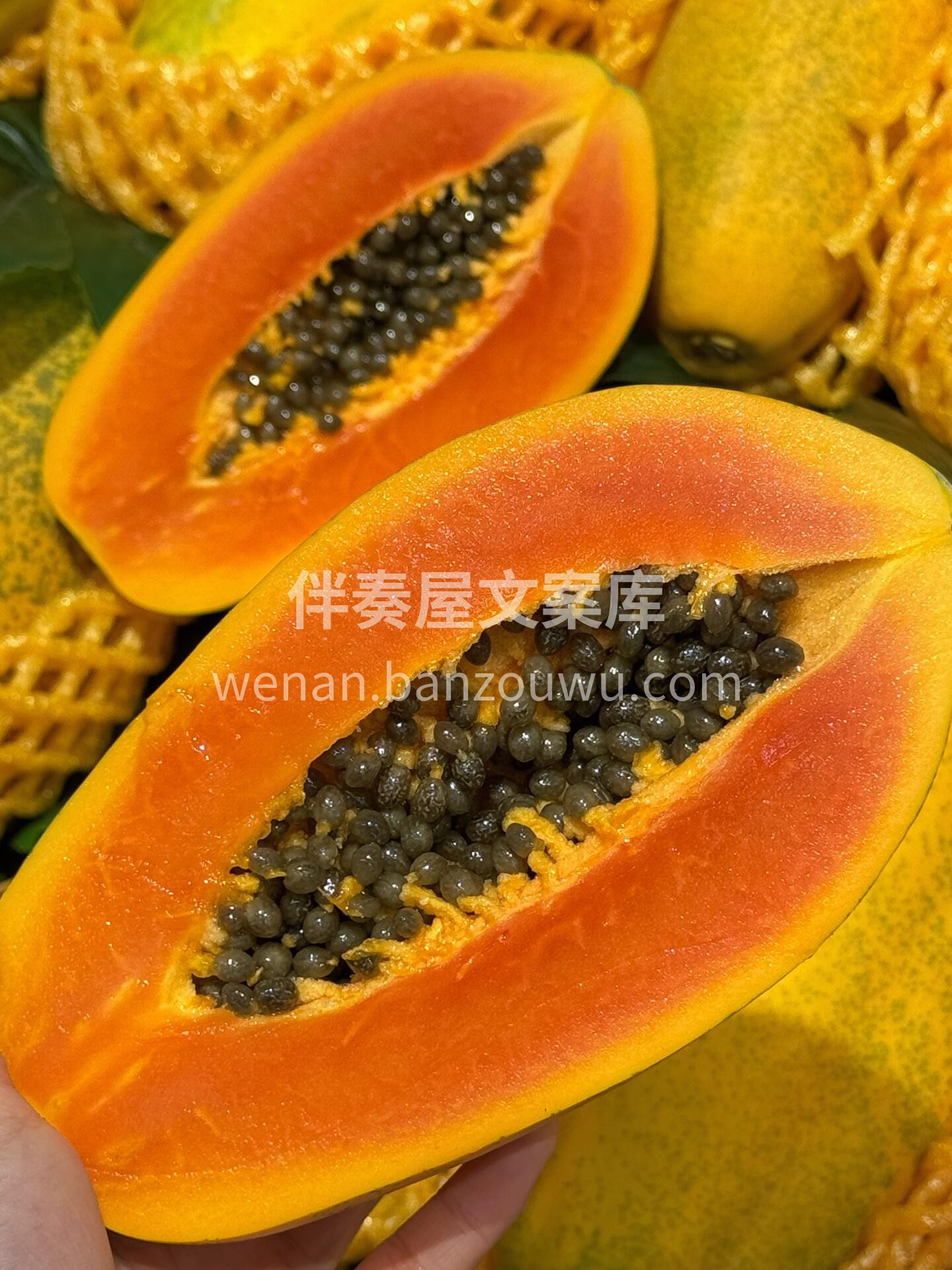 🔆正在配送🚗💭💭💭 今日份甜🍓🍉🫐🍊🥭 配图1