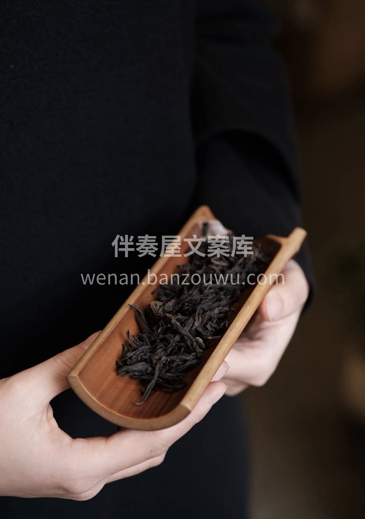 🎁新年选礼，岩茶肉桂是心头好！桂皮香馥郁 配图1