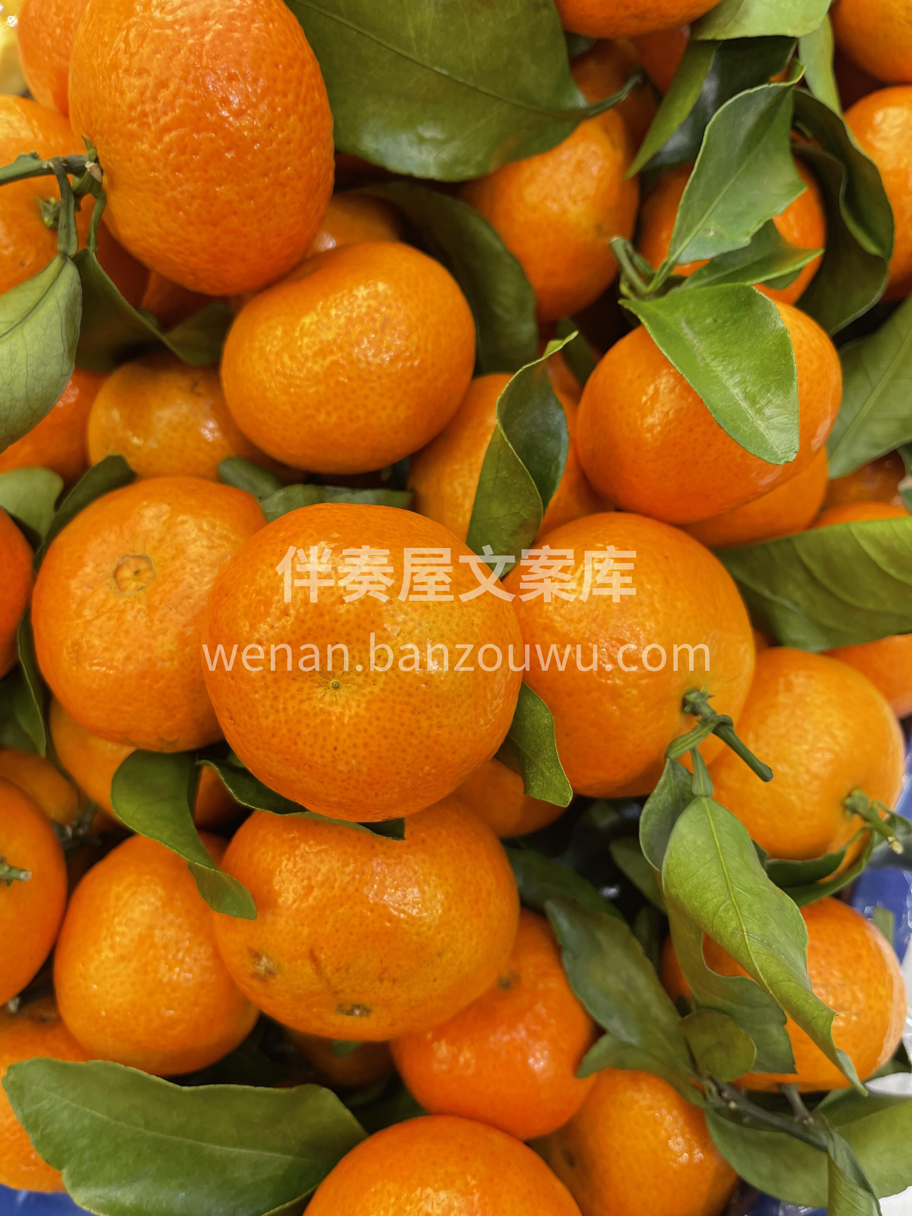 ✔️今日份的蜜橘🍊，太惊喜了😍 皮薄味甜 配图2