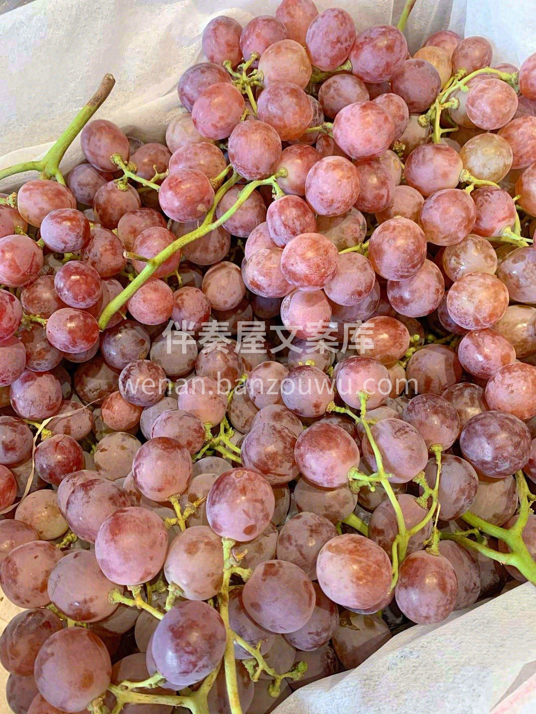 红是中国红🚩，脆是清爽脆🍇，甜是沁心甜🍯 配图3