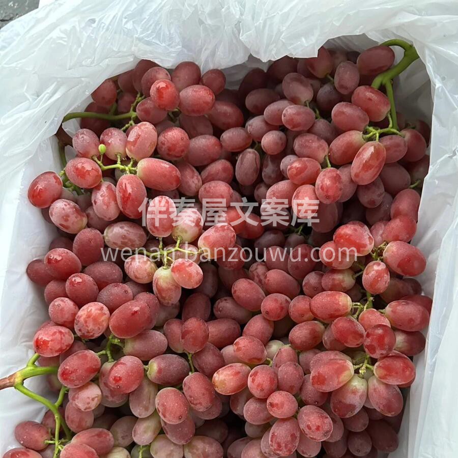 一个字，靓😍 🍇无籽红提新鲜到货🔥，当季 配图1