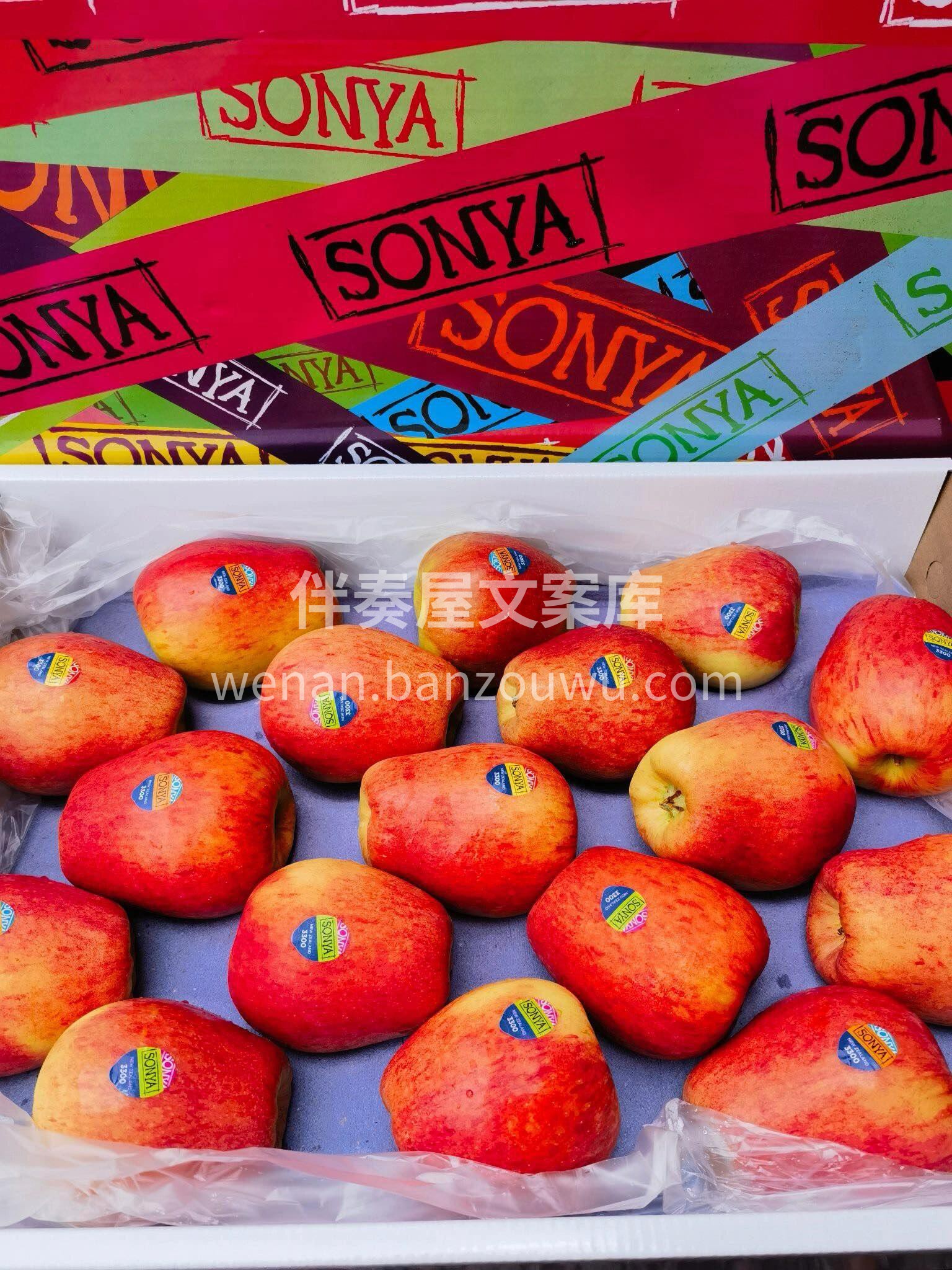 ✈来自新西兰的索尼娅苹果🍎🍎 青春女神的 配图2