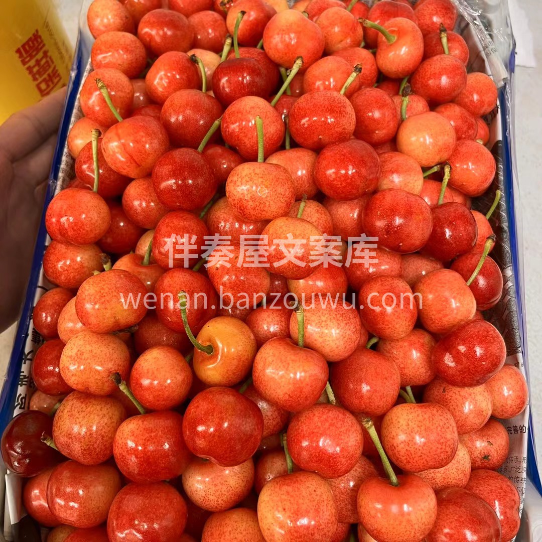 🍉 🇸 🇺 🇲 🇲 🇪 🇷🌤☁☁ ˗ˏˋ 配图2