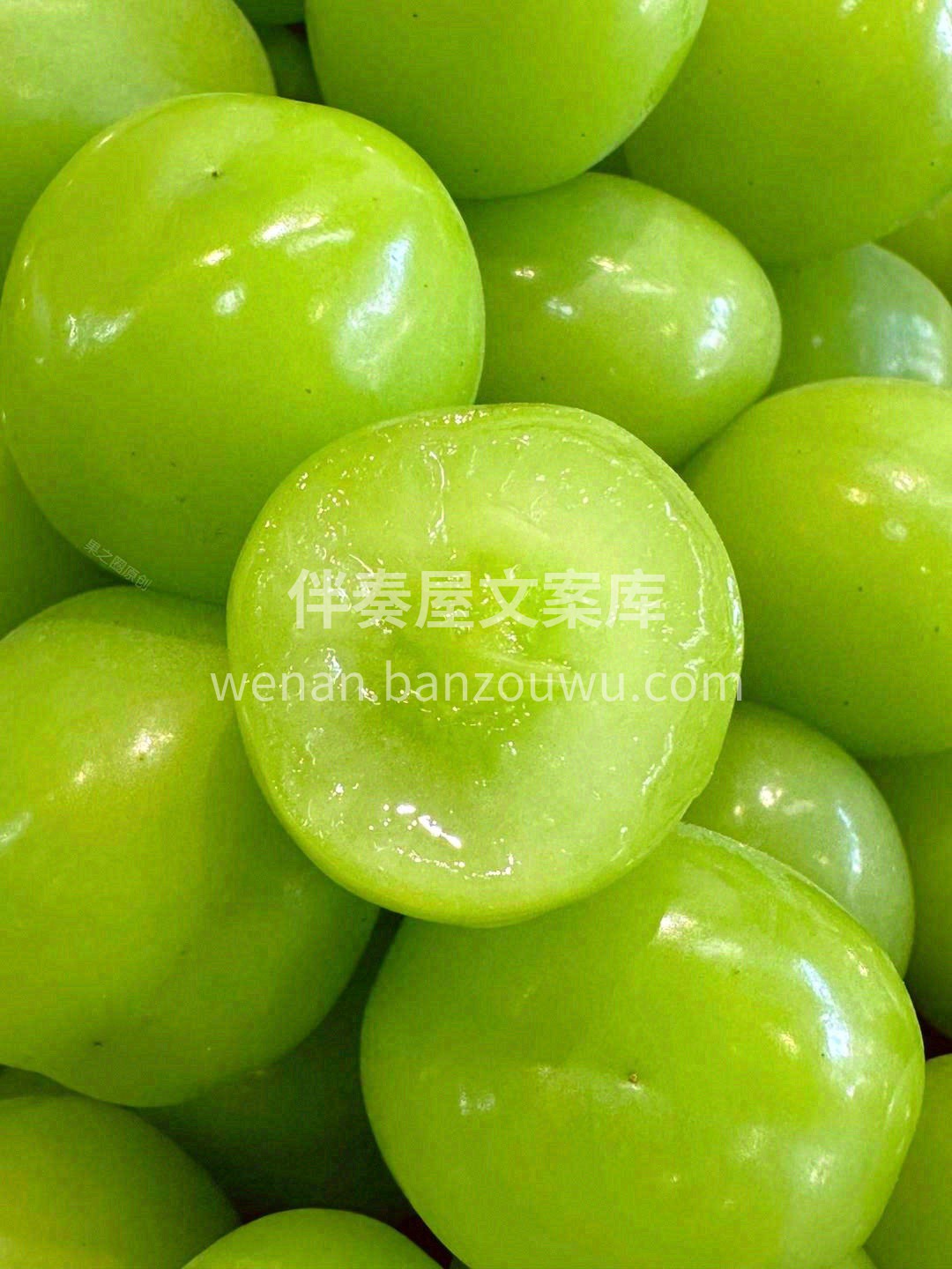 今天是花香味🌸的满足！ 就像被阳光亲吻过 配图2