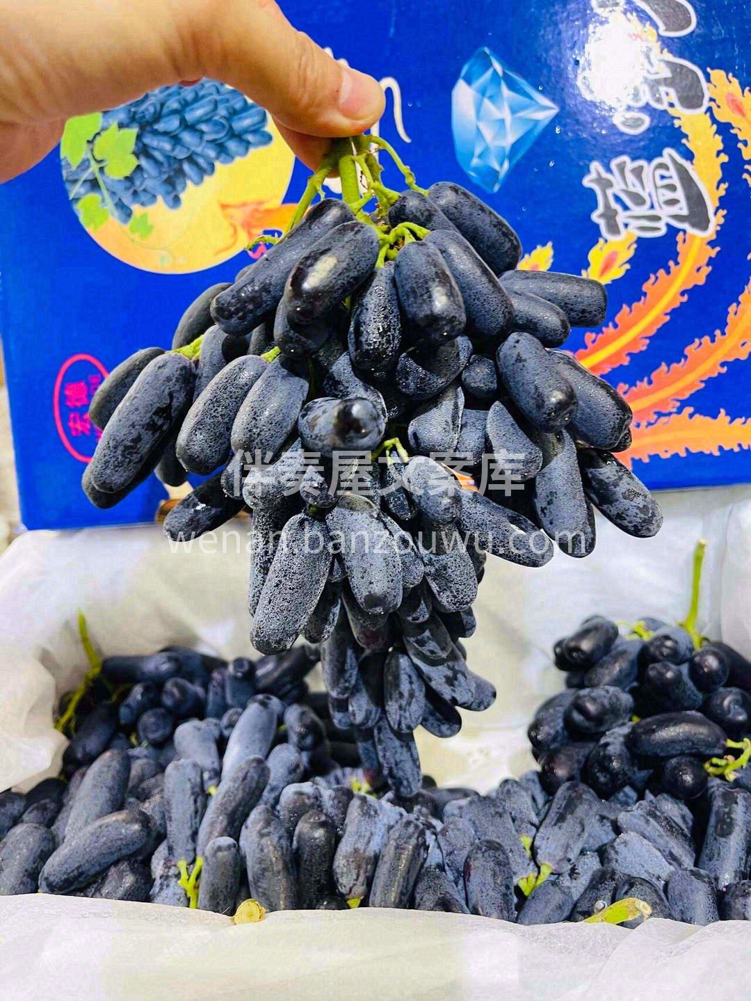 美人指，正当时💅 忙碌的生活尝一串蓝宝石 配图3