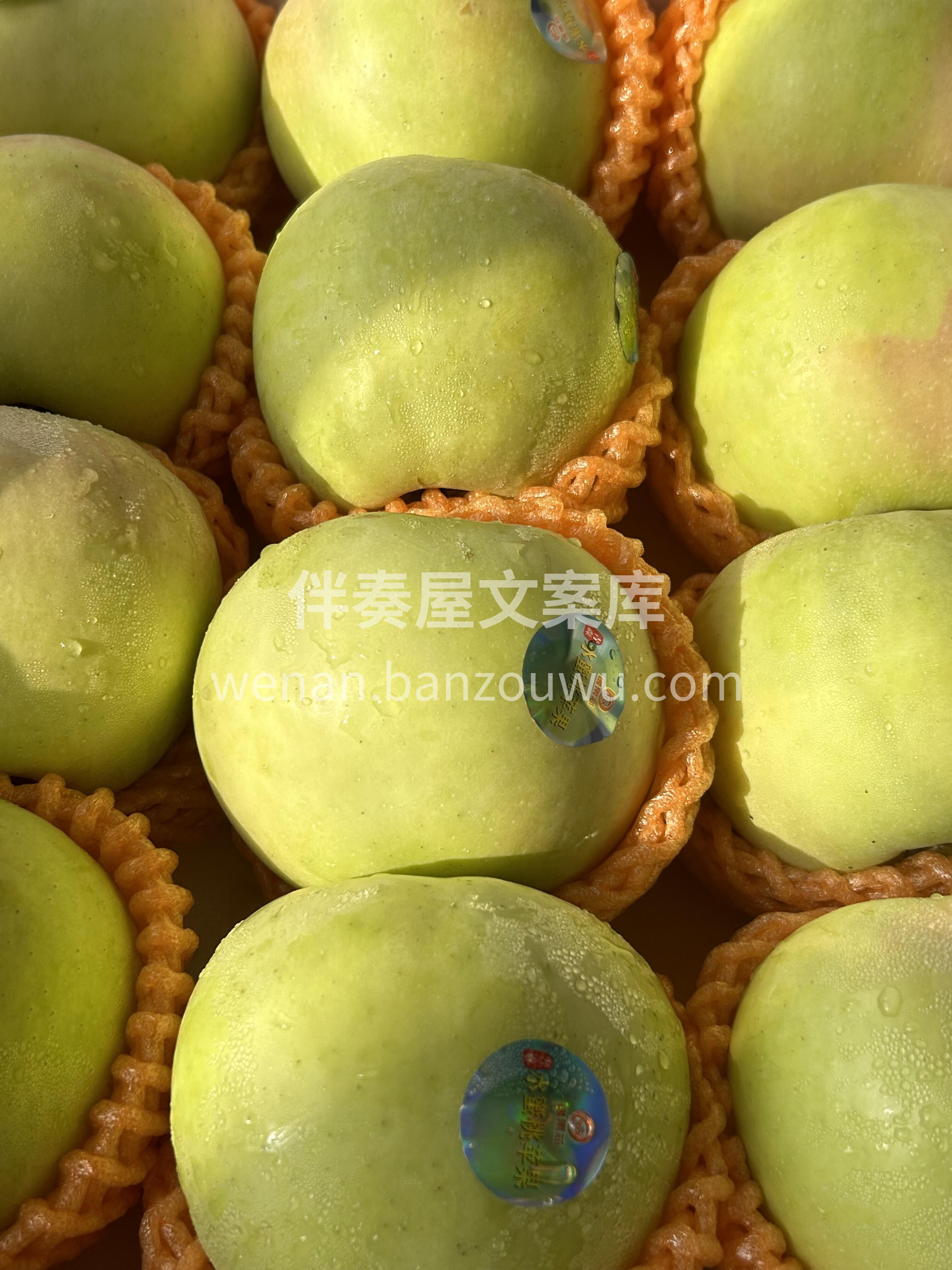 你吃了么？🙋秋天的第一个青苹果🍏 自带雀 配图3