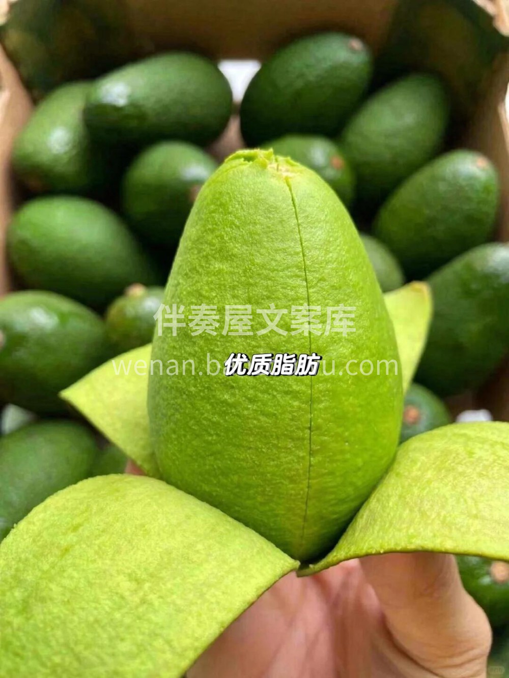 牛油果🥑减脂必备！优质脂肪😍 🥑是热带东 配图1