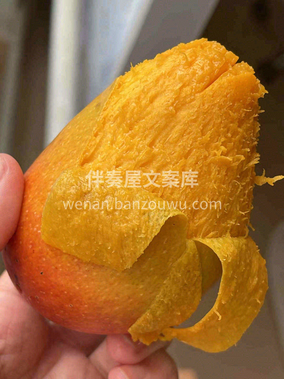 🥭贵妃芒又叫“彩虹水蜜芒” 熟透后的果皮 配图1