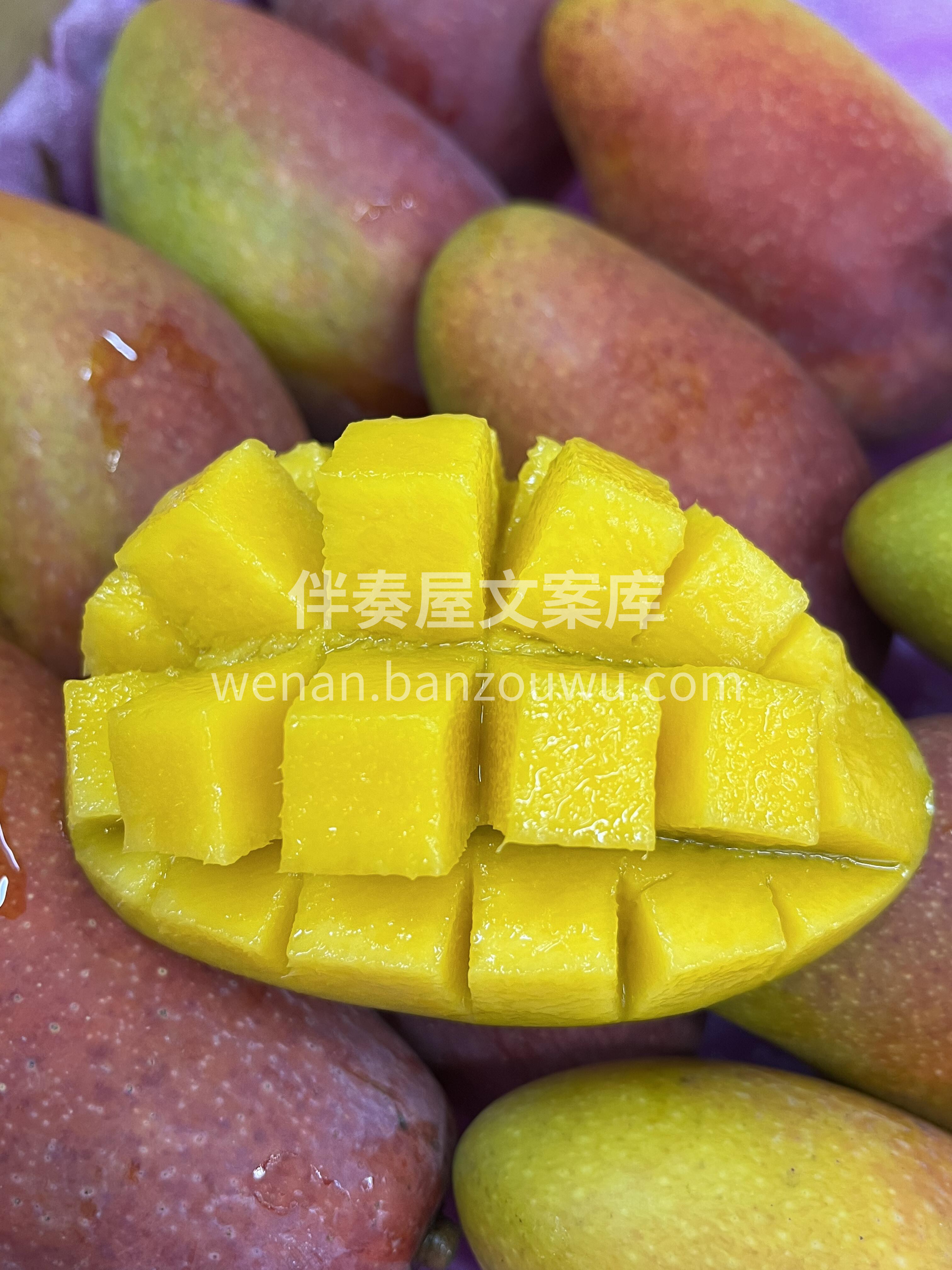 🥭 贵妃芒！ 🌈 海南树上熟，彩虹表皮  配图3