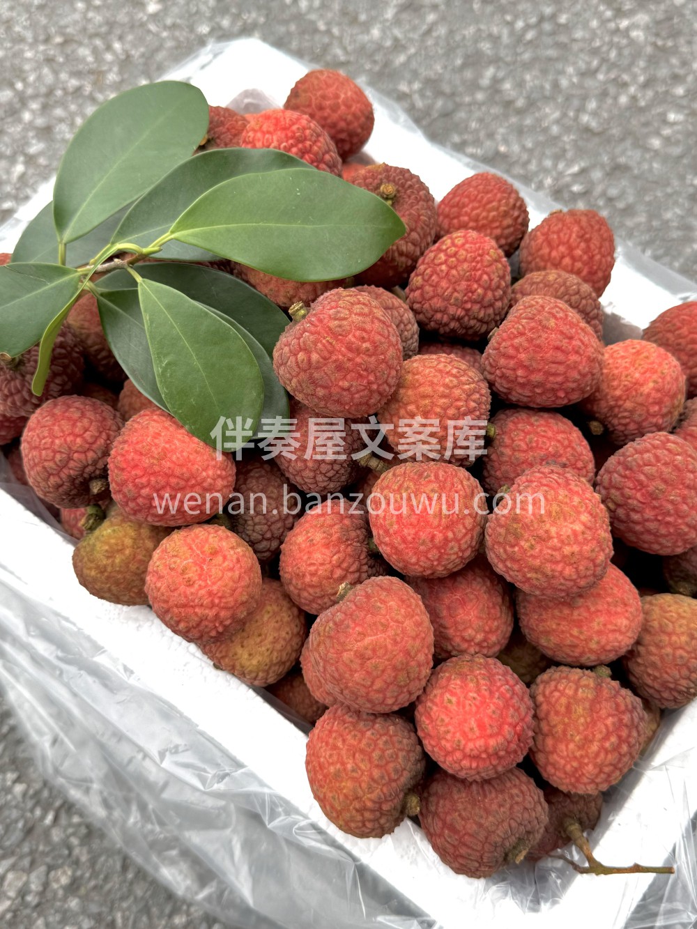 🍒 清新甜美风** **「荔枝红了，夏天 配图3