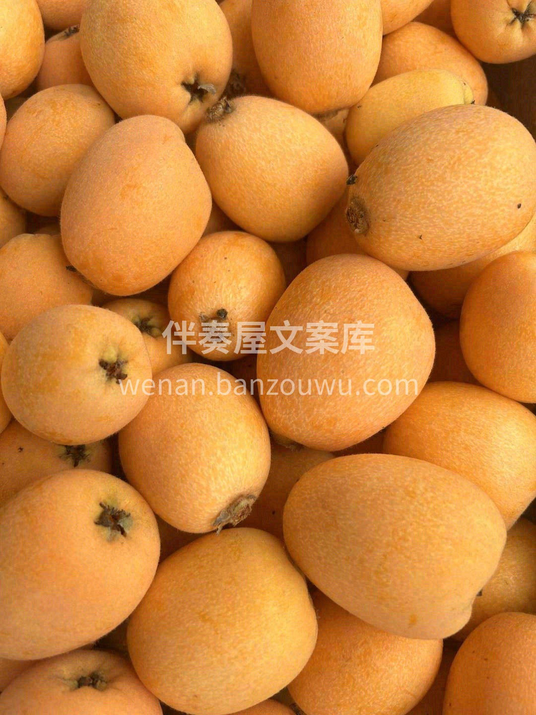 水果届的止咳糖浆🍯‼️ 个头超大，一口下 配图2