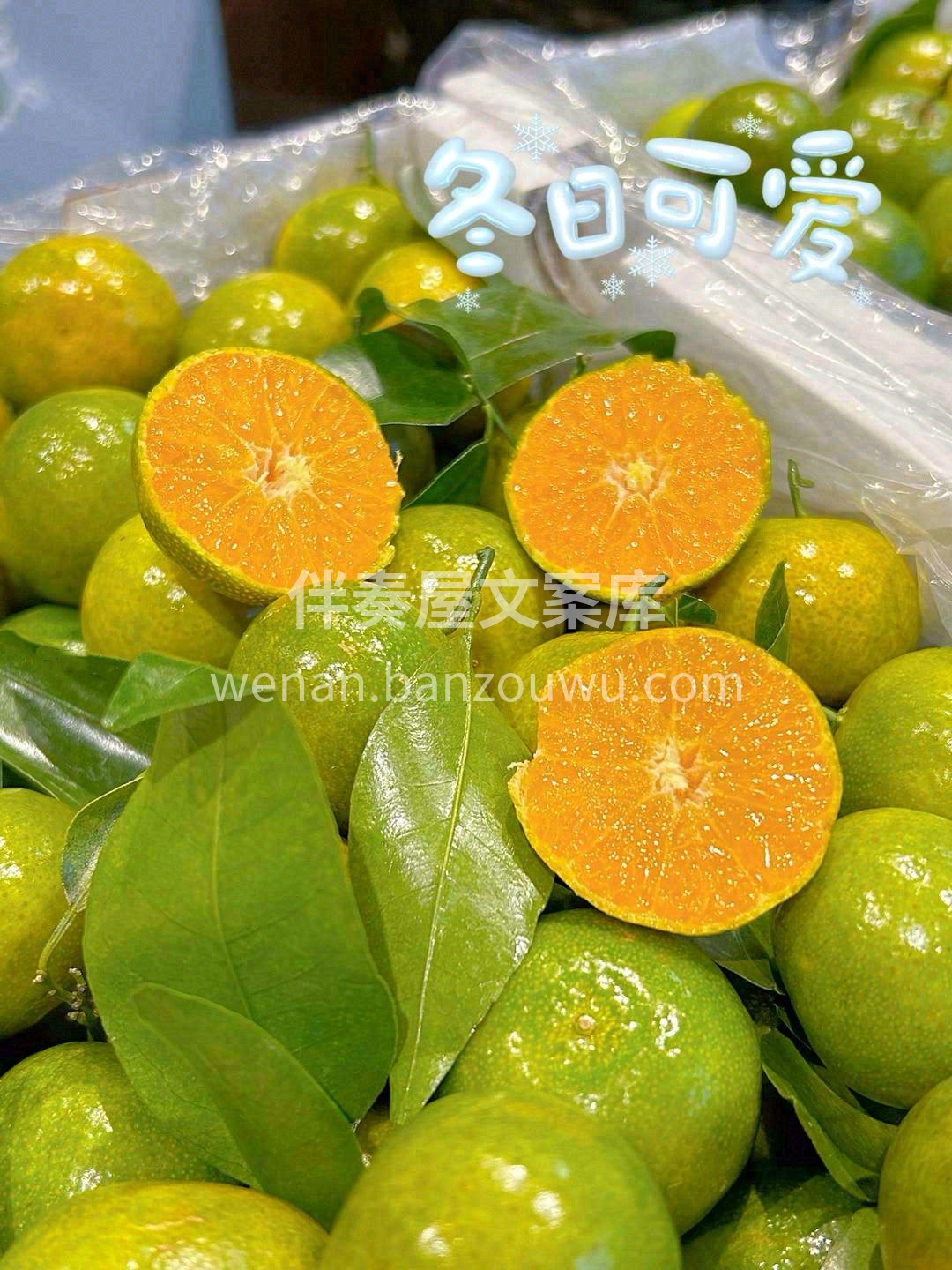 清香茶橘🌱，润爽上市🌊！ 一切以大“橘” 配图2