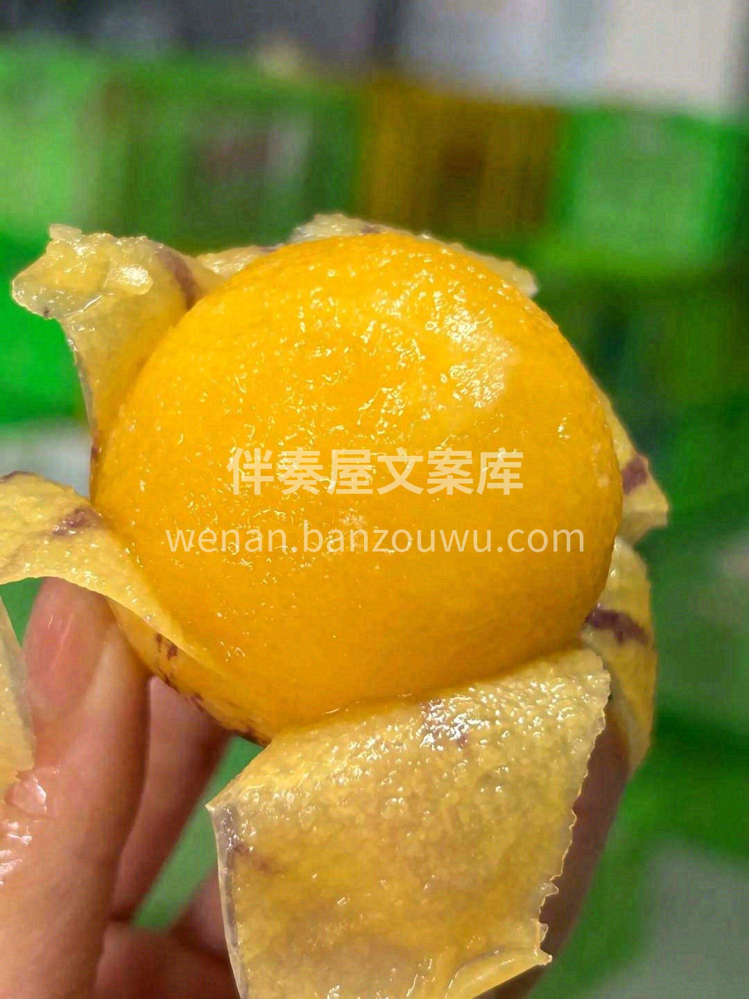 一颗真正好吃的的人参果💛 多汁到直接可以 配图2