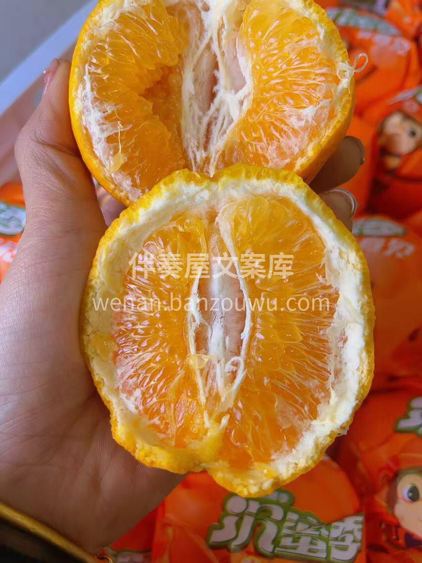 人生不仅有初见，还有春见耙耙柑，生活里满 配图1