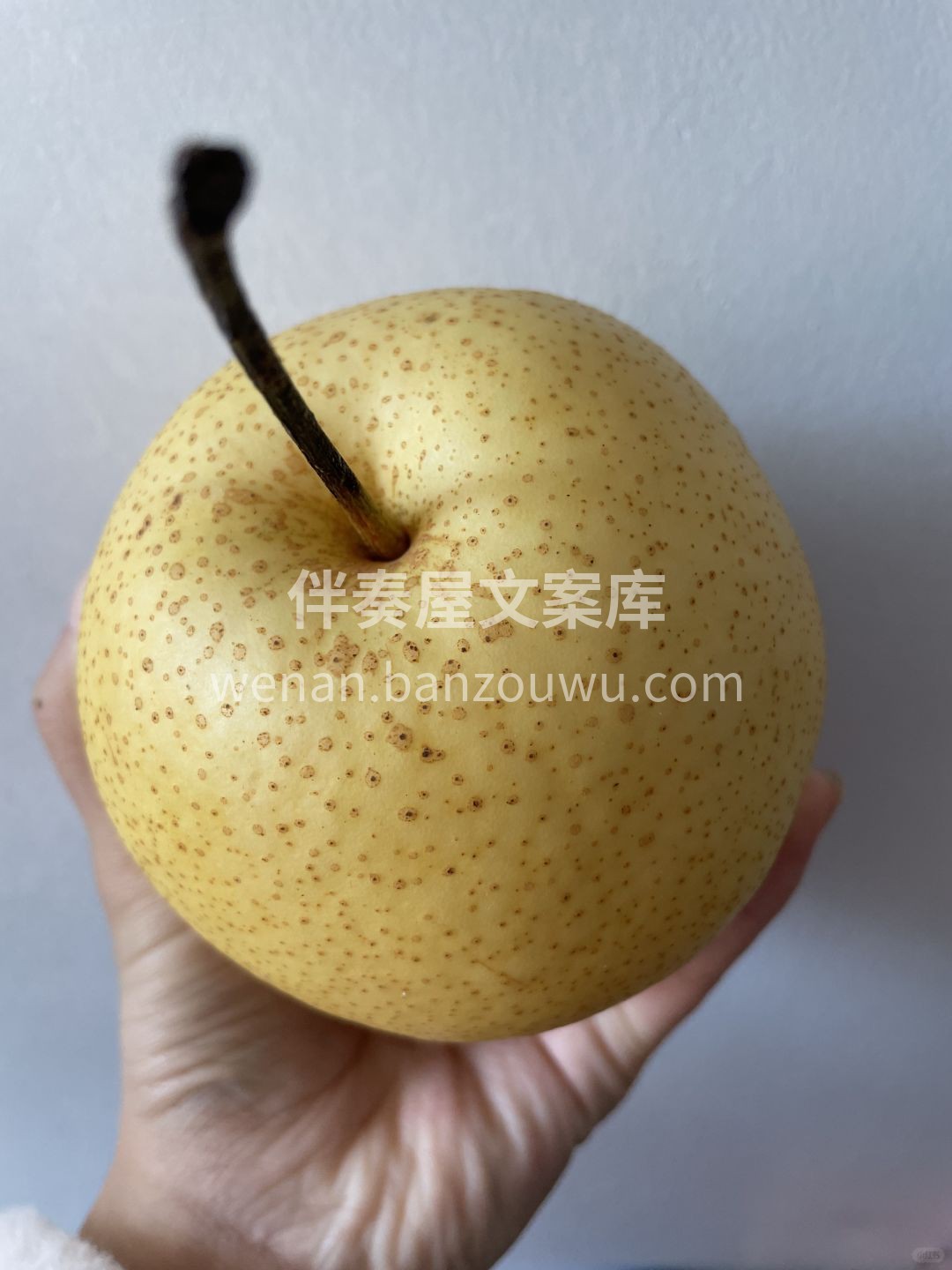🍐雪梨嫩滑清甜不酸 咬一口清香淡淡，润嗓 配图2