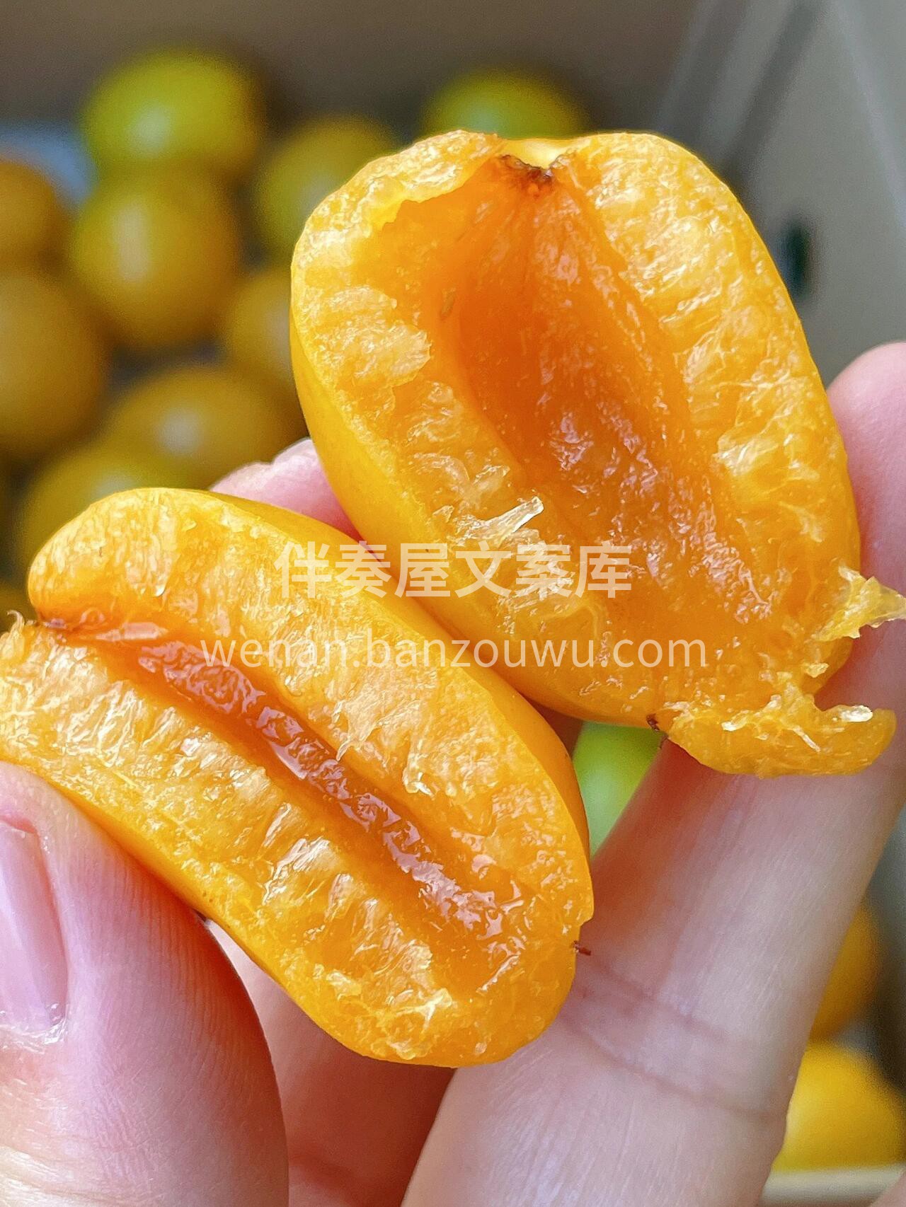 珍珠油杏❗一口就爱上😍 好吃哭了！🙈这珍 配图3