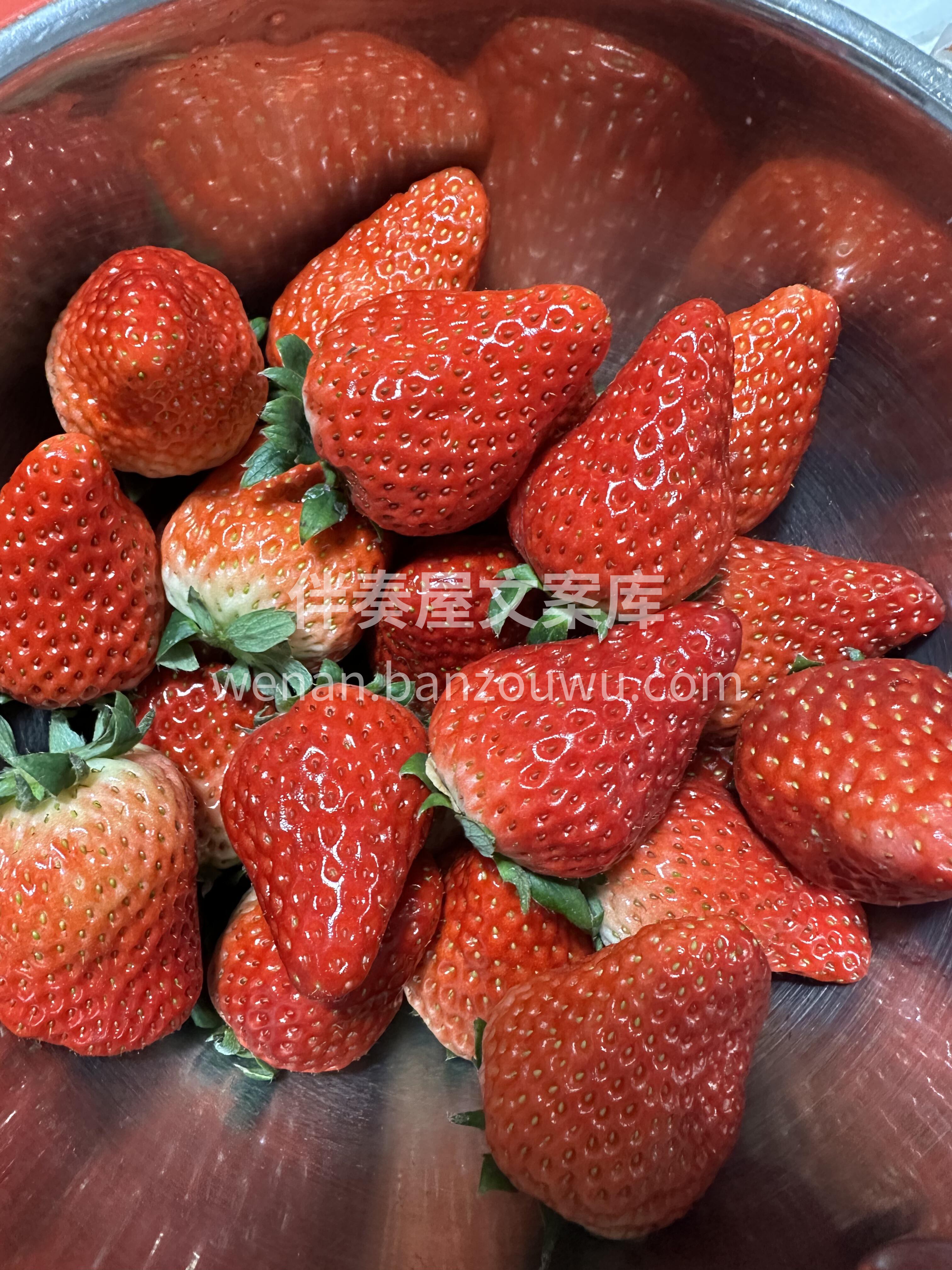 🍓草莓差不多尾季了‼️ 但这批状态还在线 配图2