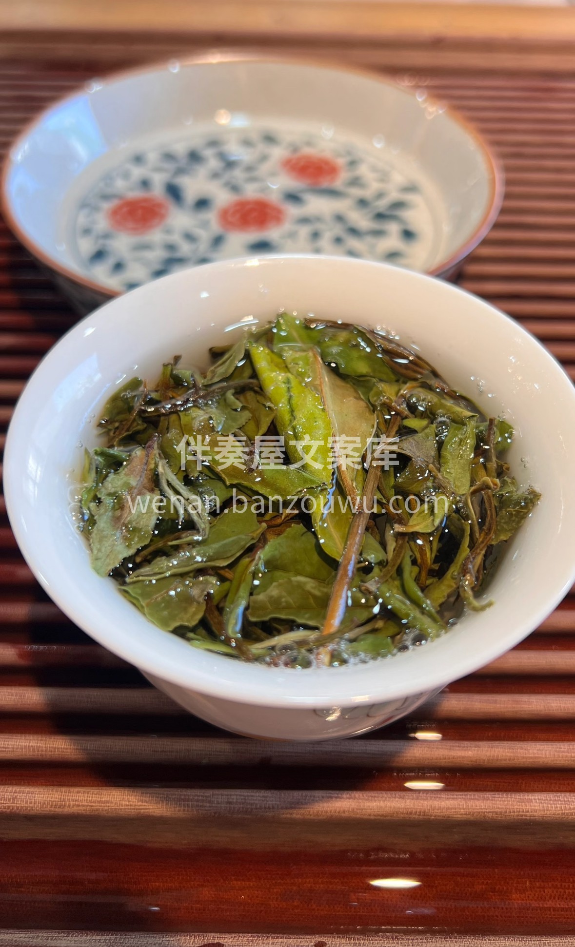 福鼎白茶藏岁月清欢，白毫如霜缀嫩芽。日光 配图2