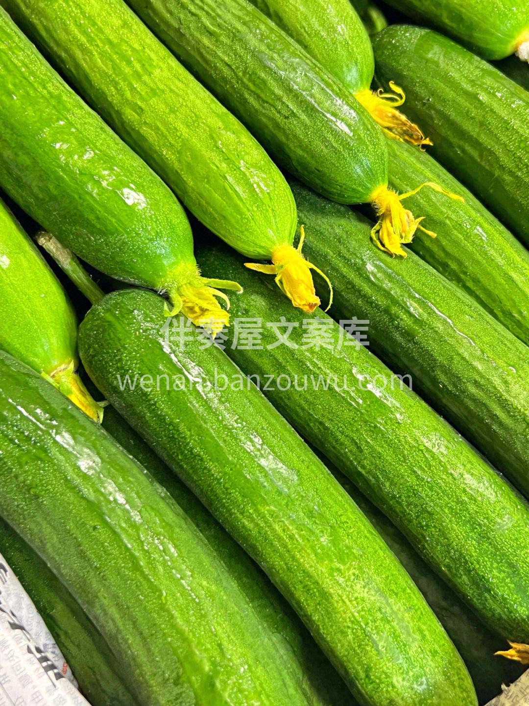 “迷你小黄瓜”🥒，吃起来的味道口感都很棒 配图3