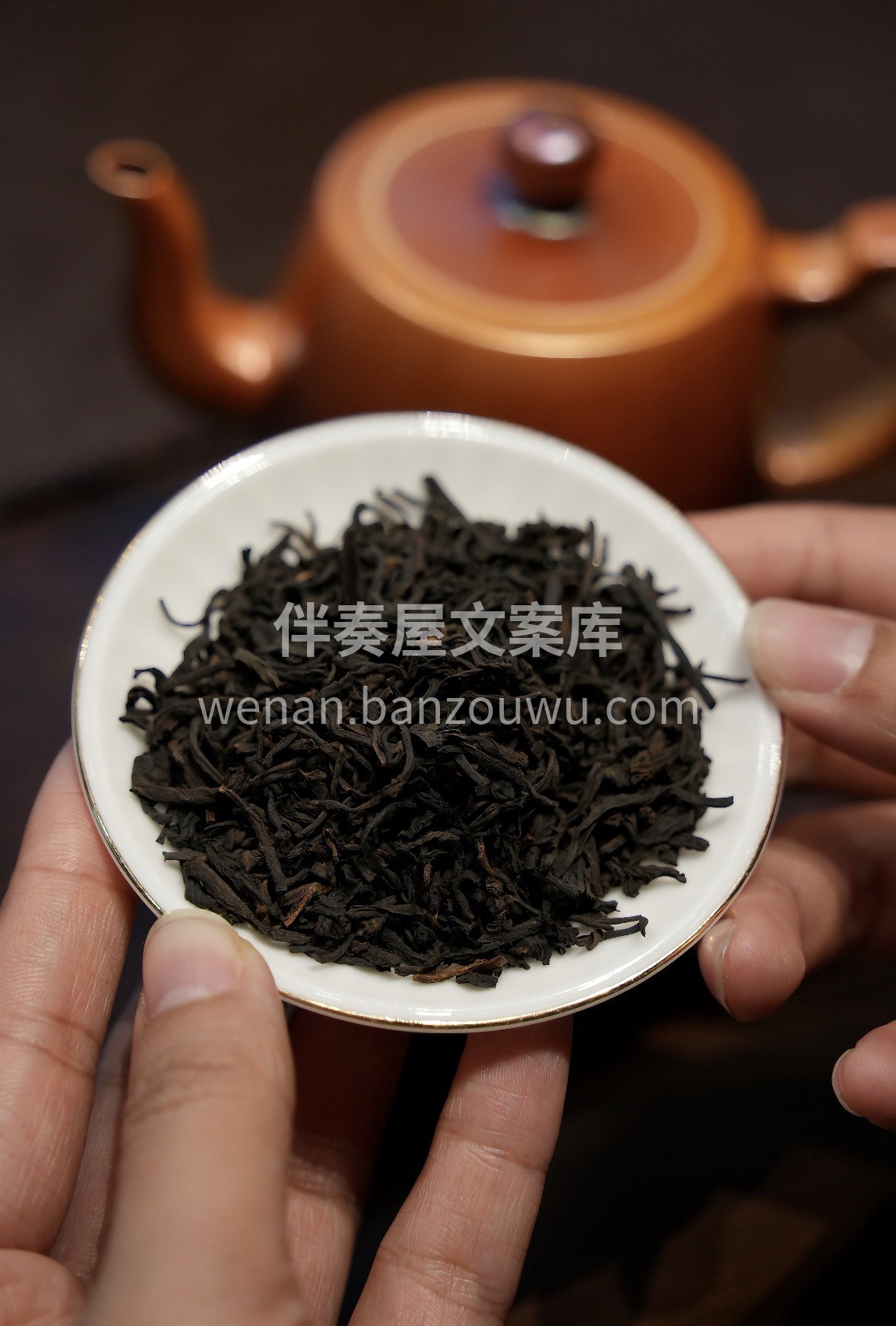 春困湿气重，一杯六堡茶刚刚好。温和解腻、 配图1