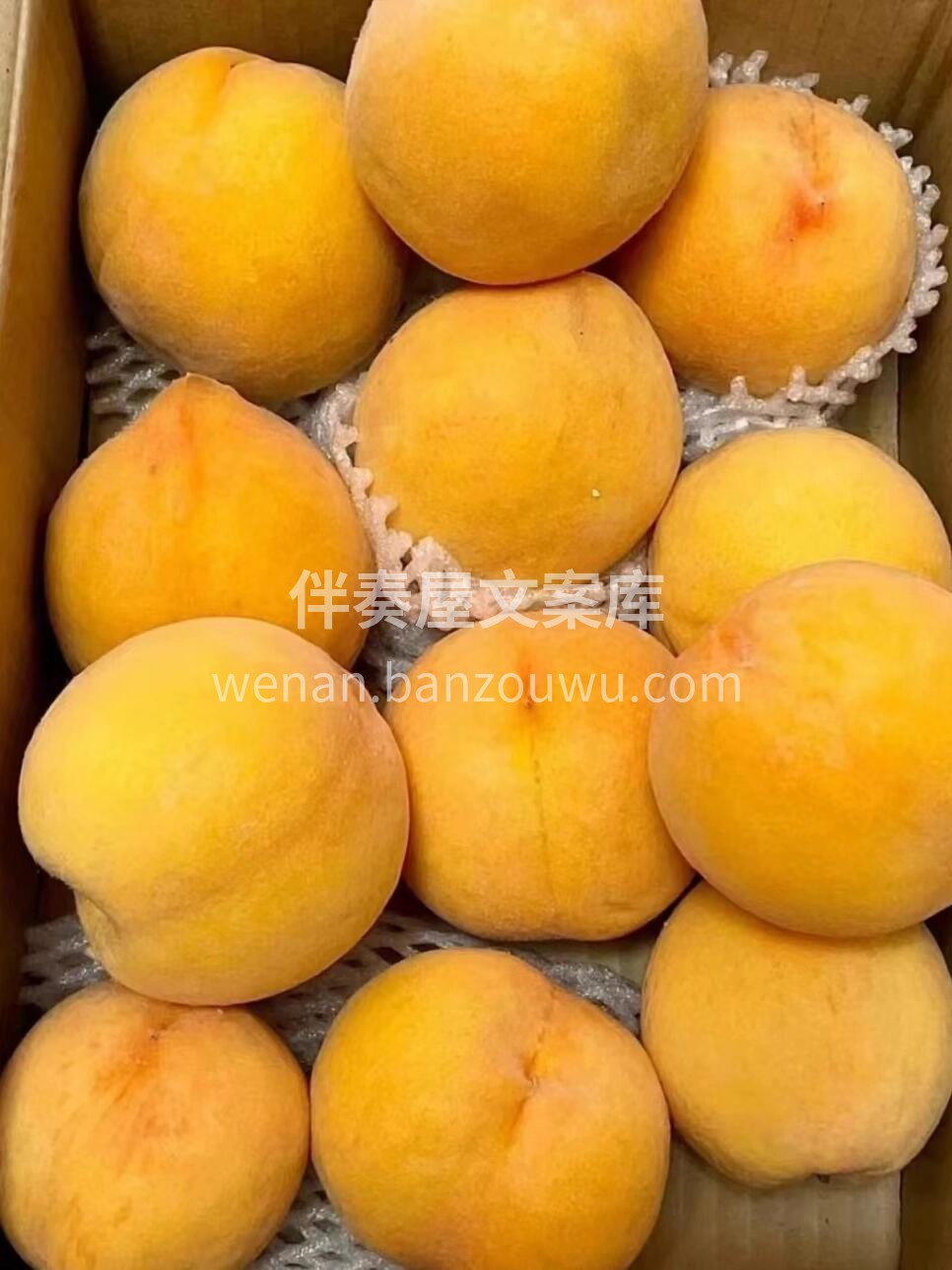🍑黄金蜜黄毛桃🌟💢桃子就是这么美[哇]始 配图3