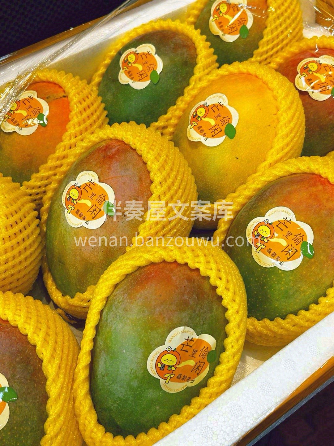 一颗好的芒果🥭，能驾驭各种不同的风格👠  配图3