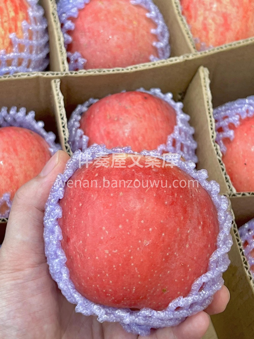 妈妈最喜欢吃的水果，没有之一🍎 洛川苹果 配图1