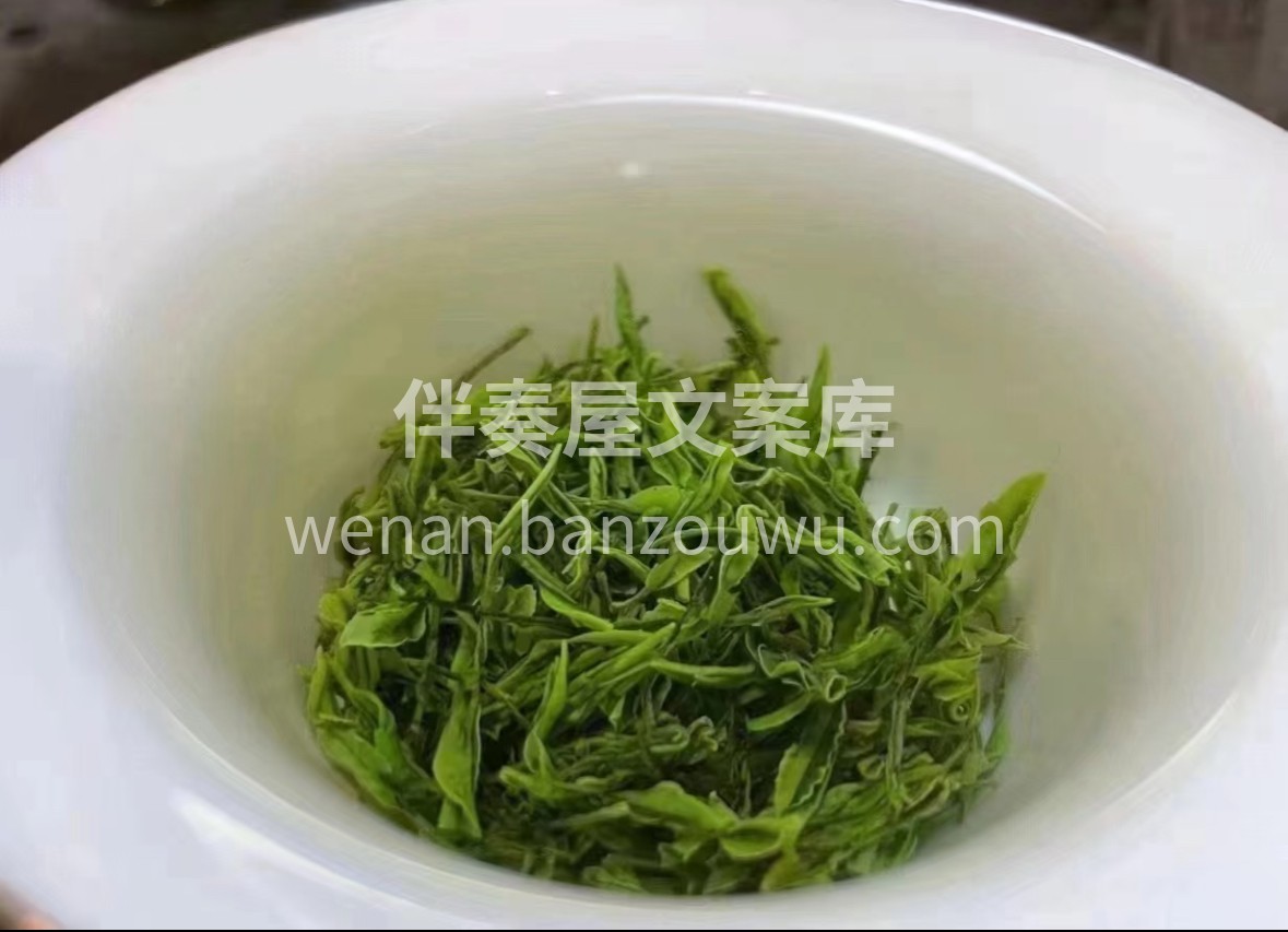 采恩施云雾，承千年蒸青。一杯玉露，茶汤清 配图2
