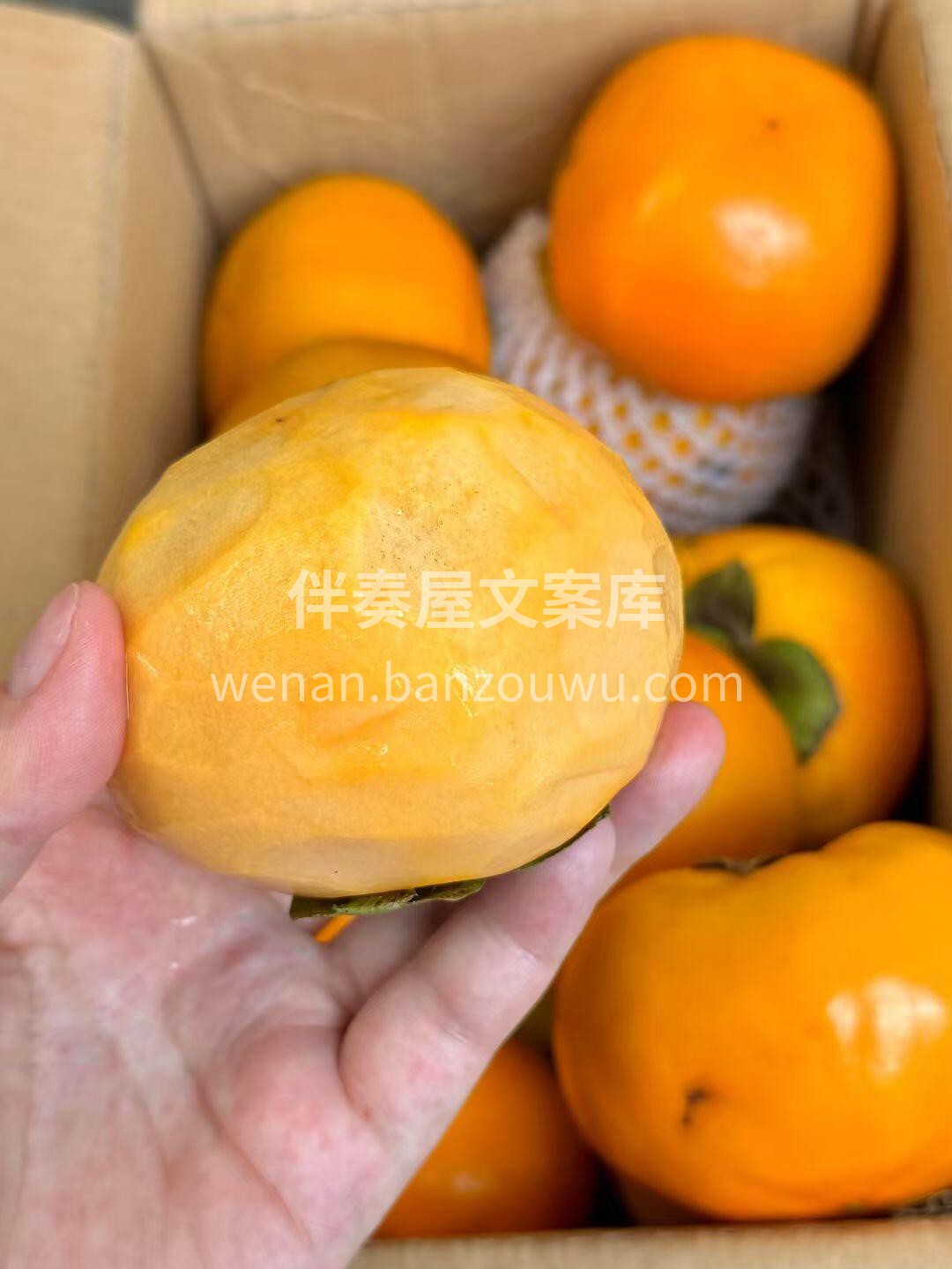 巧克力甜脆柿新鲜到店♥ ✅比苹果还脆，比 配图2