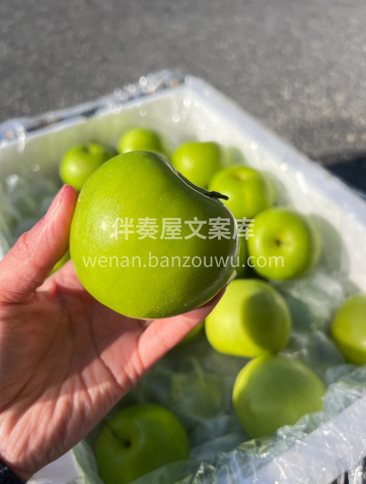 新鲜牛奶枣🥛大量上新！ 让你们吃到爽🎉  配图1