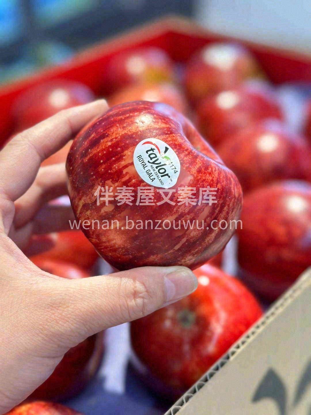泰勒牌新西兰加力果 🍎 肉质细嫩 ，水分 配图1