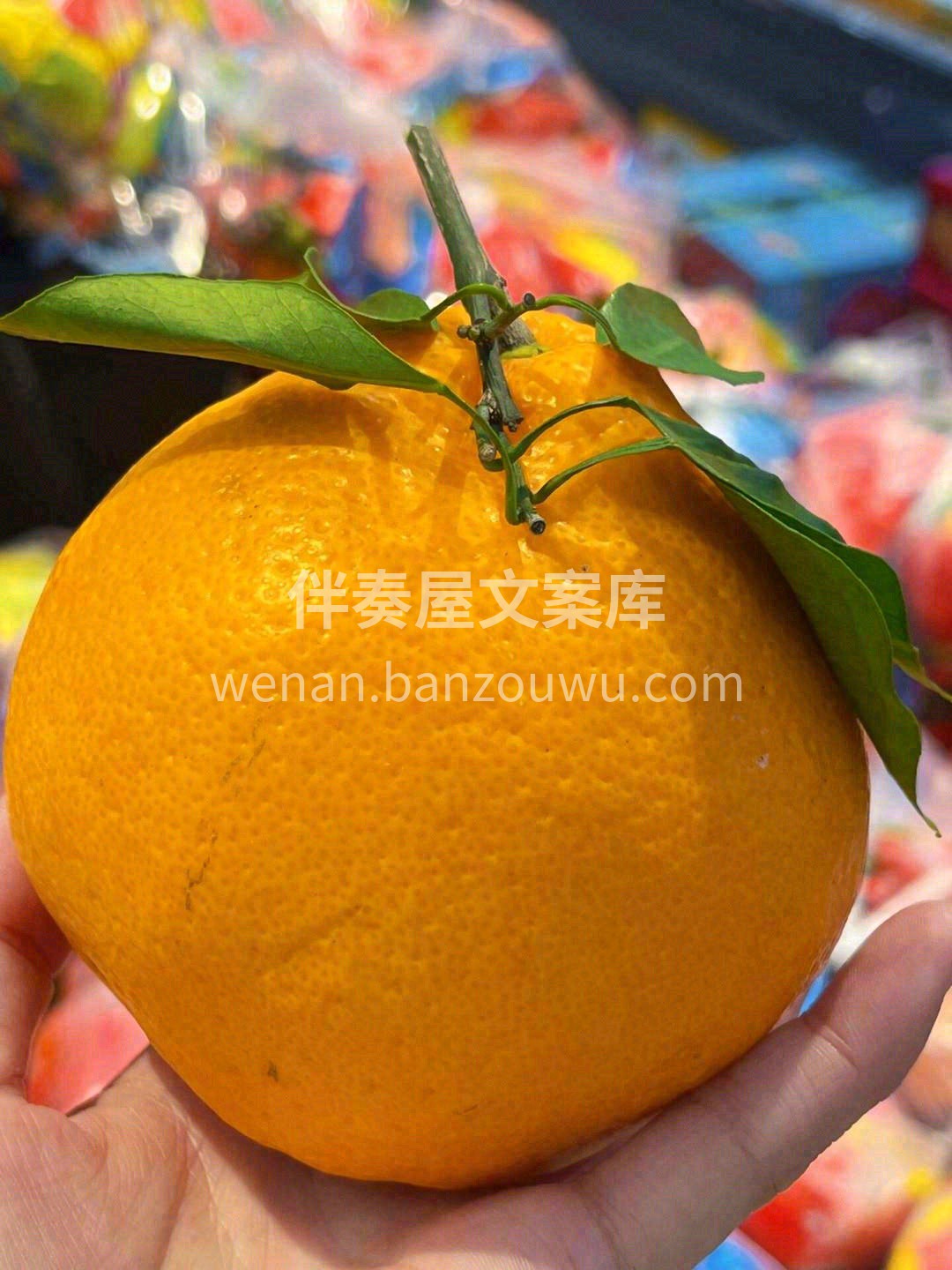 春见耙耙柑用个字形容：“甜、嫩、爽”🌊🌊 配图3