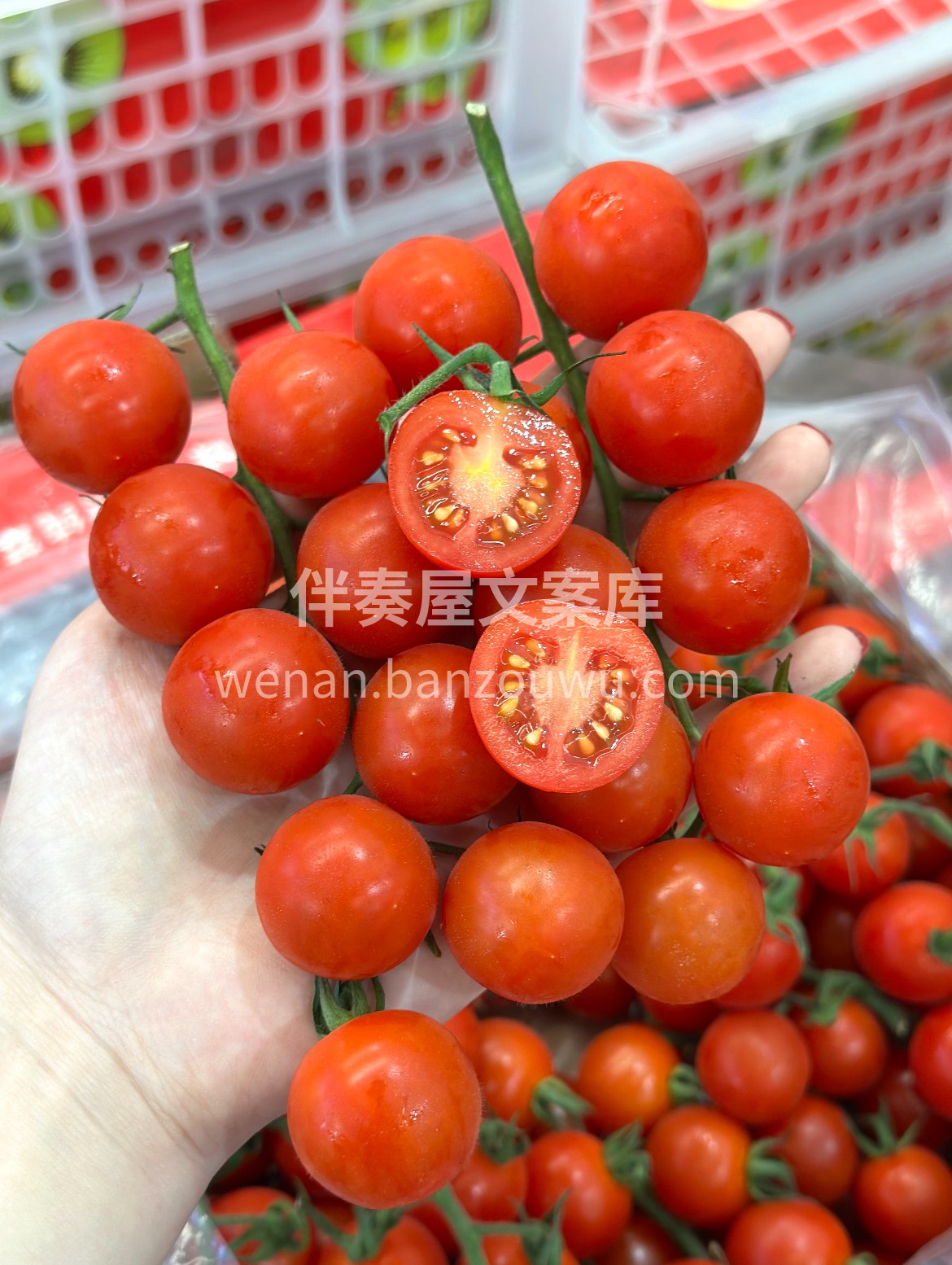 【“番”外甜蜜】串收番茄新鲜到货👏 果身 配图2