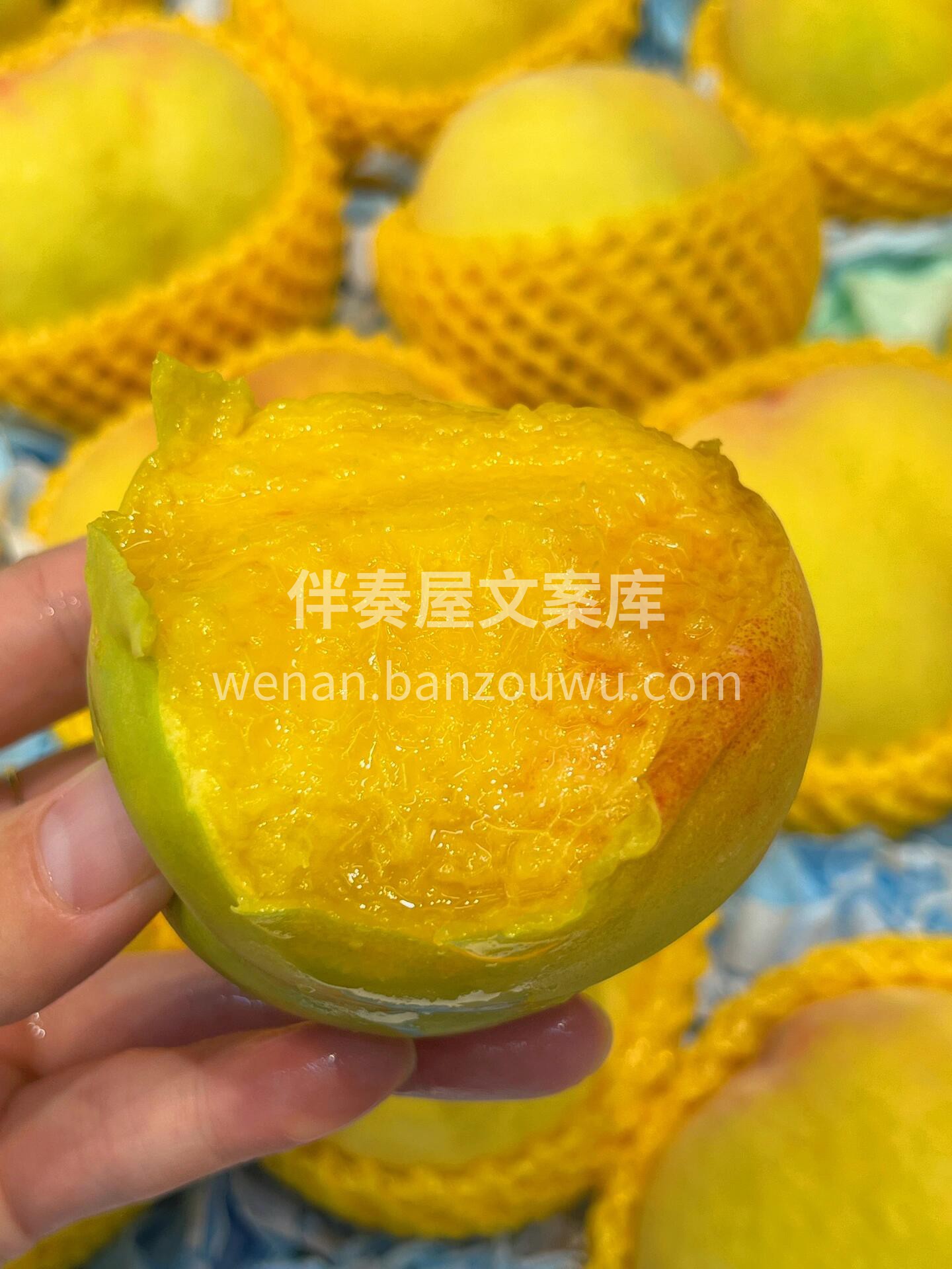 💛黄桃🍑新鲜到货🌱‼️‼️ 有着天下第一 配图2