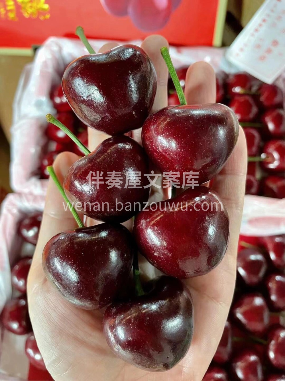 每天有每天的快乐🎉 早上车厘子🍒一口一颗 配图3